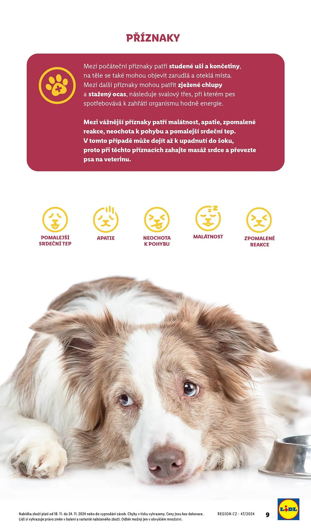 Lidl leták - 18. listopadu 24. listopadu 2024 - Page 9