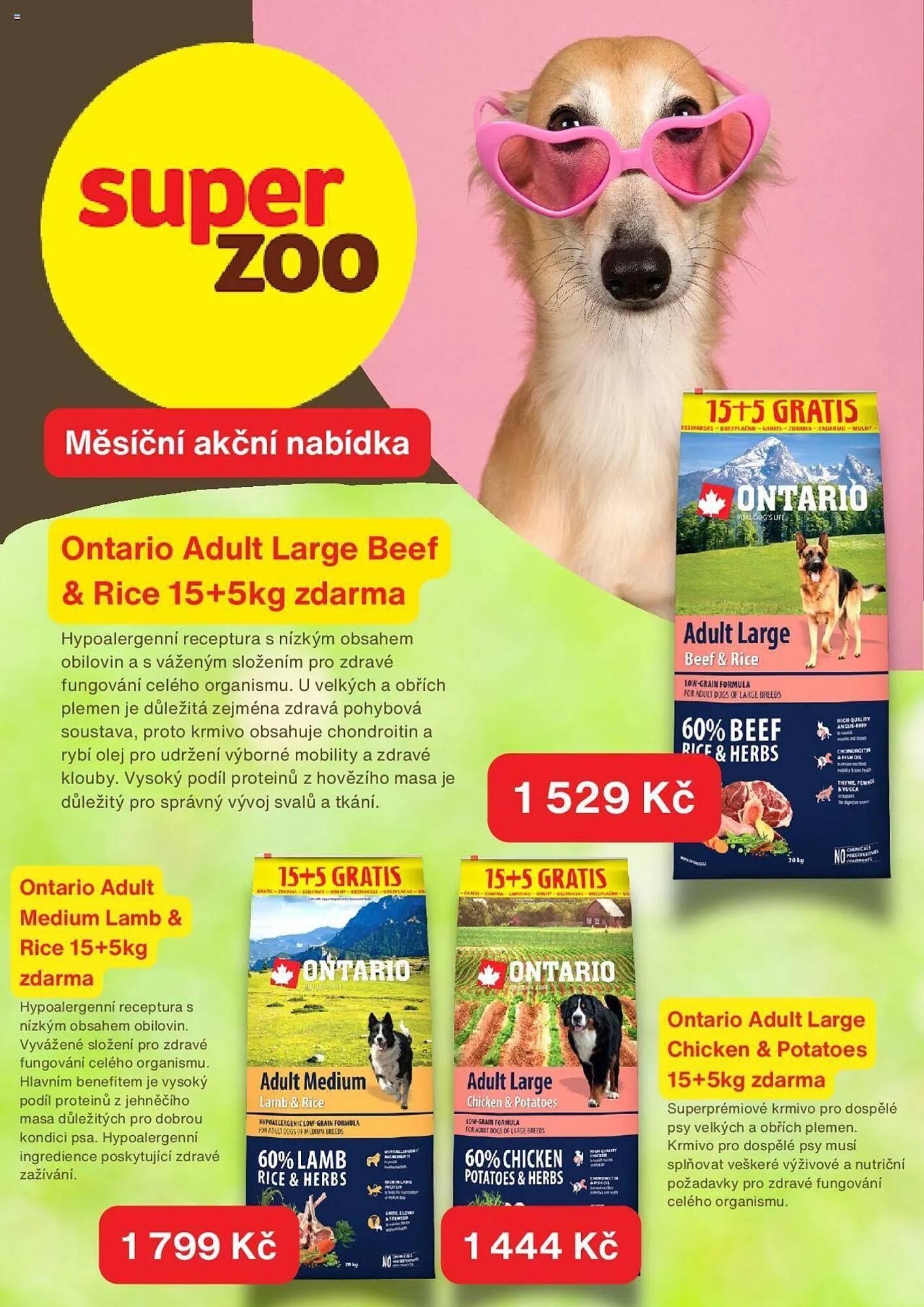 Super Zoo leták - 21. října 13. listopadu 2024 - Page 2