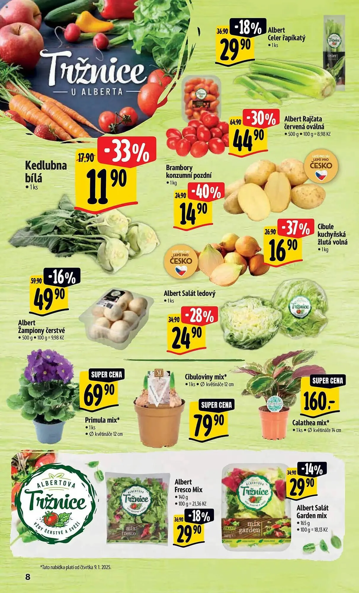 Albert leták - 8. ledna 14. ledna 2025 - Page 13