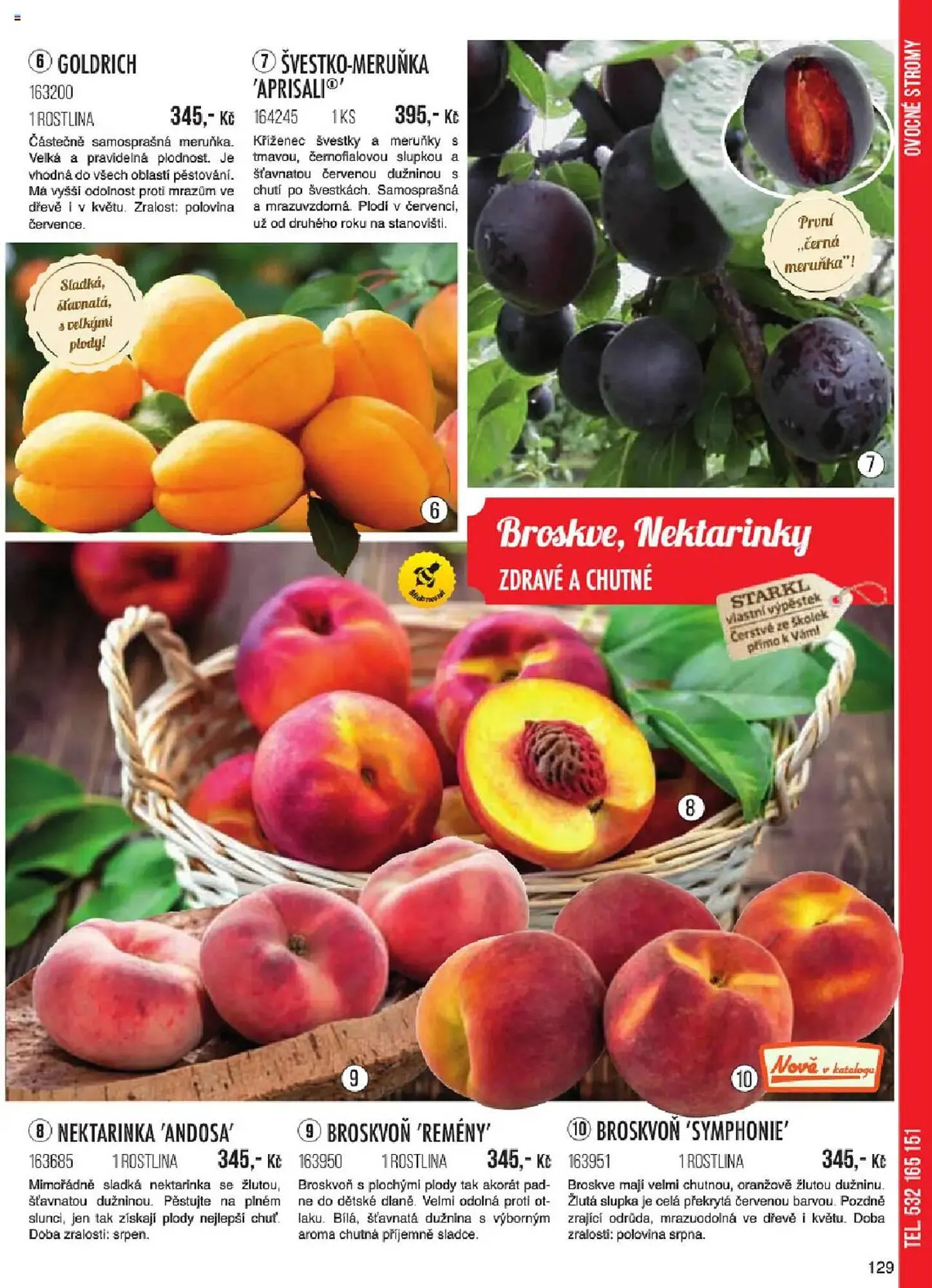 Starkl leták - 6. ledna 31. května 2025 - Page 129