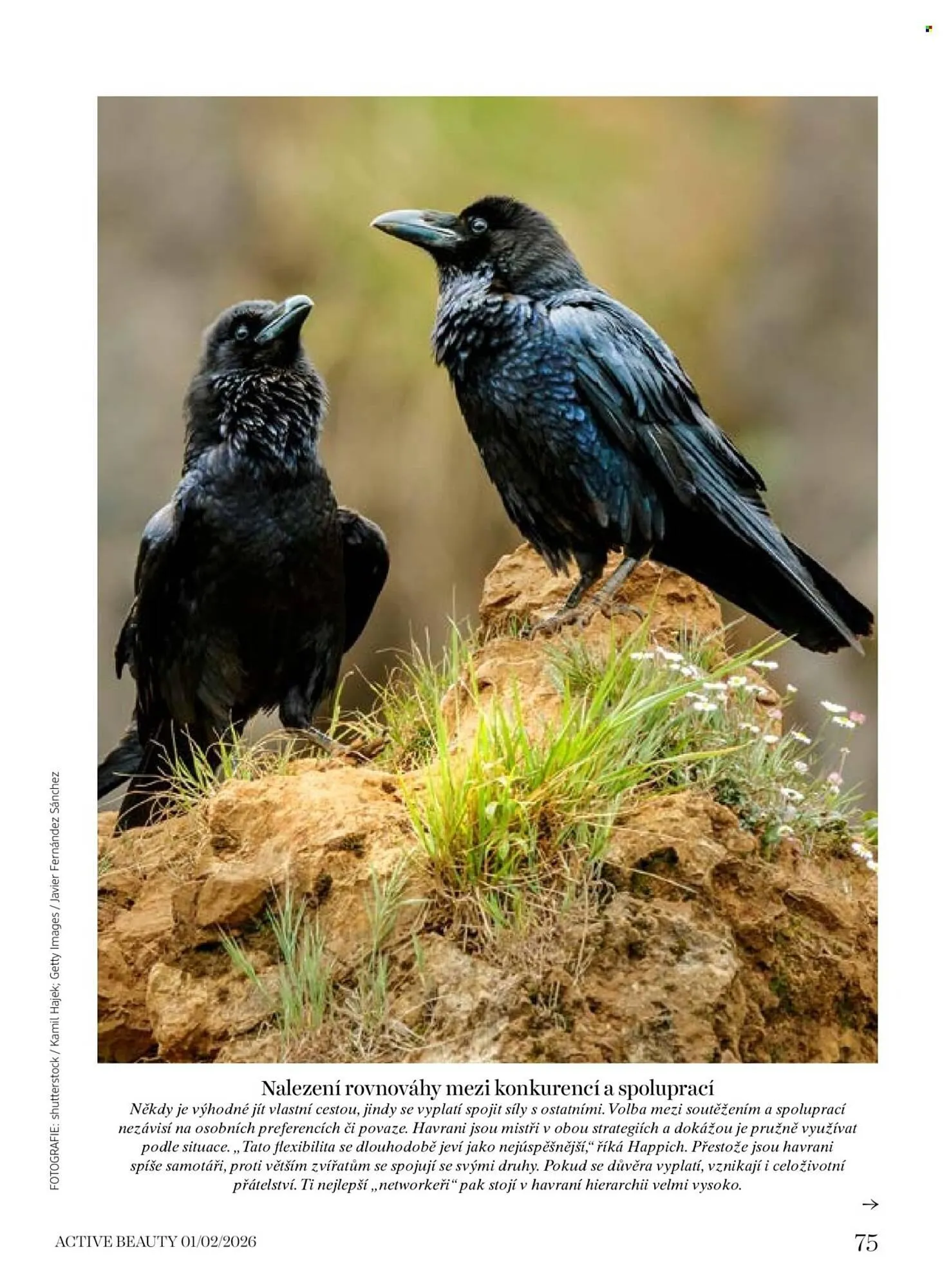 Dm drogerie leták - 16. ledna 5. března 2026 - Page 75