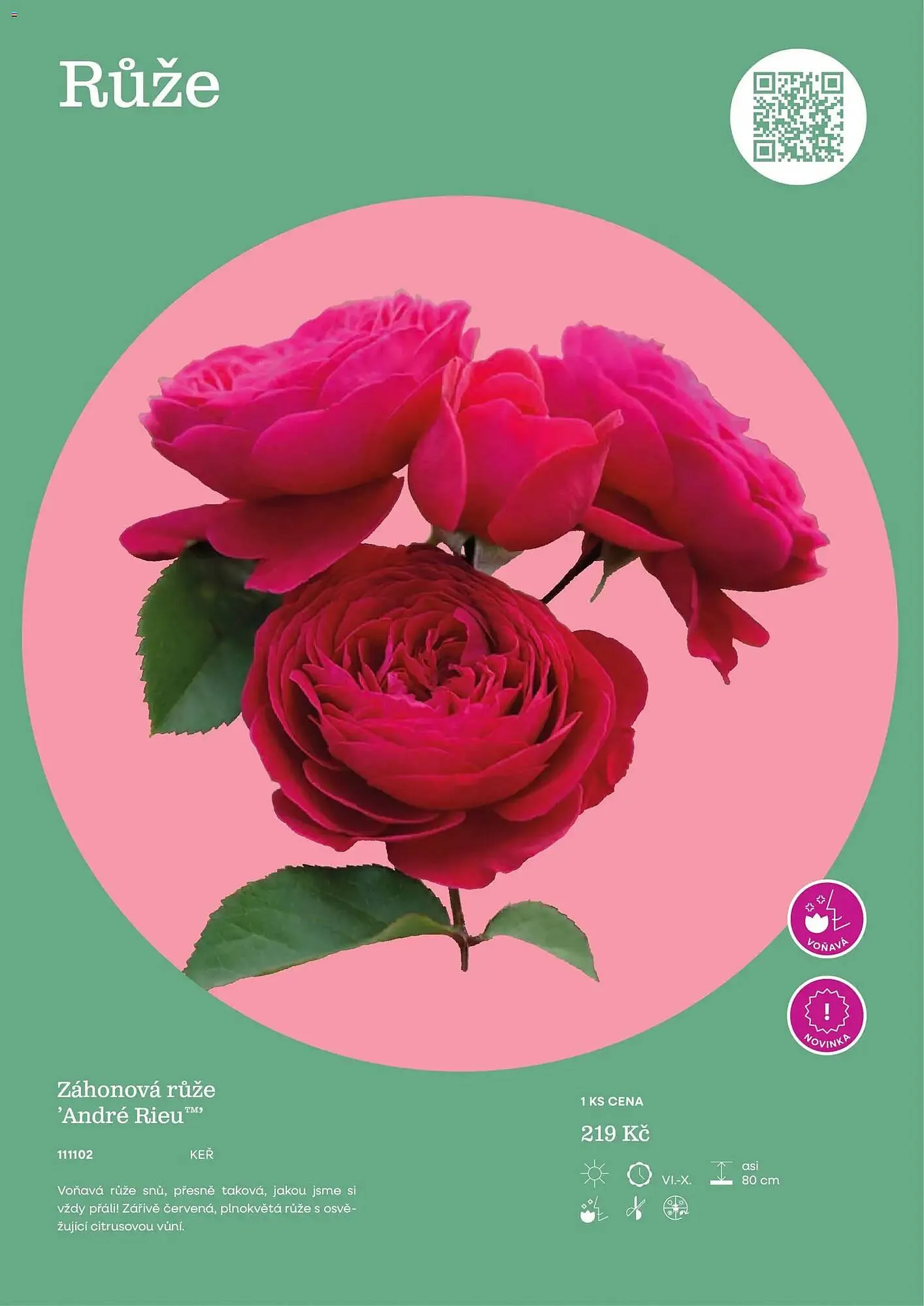 Starkl katalog - 25. února 31. prosince 2026 - Page 95