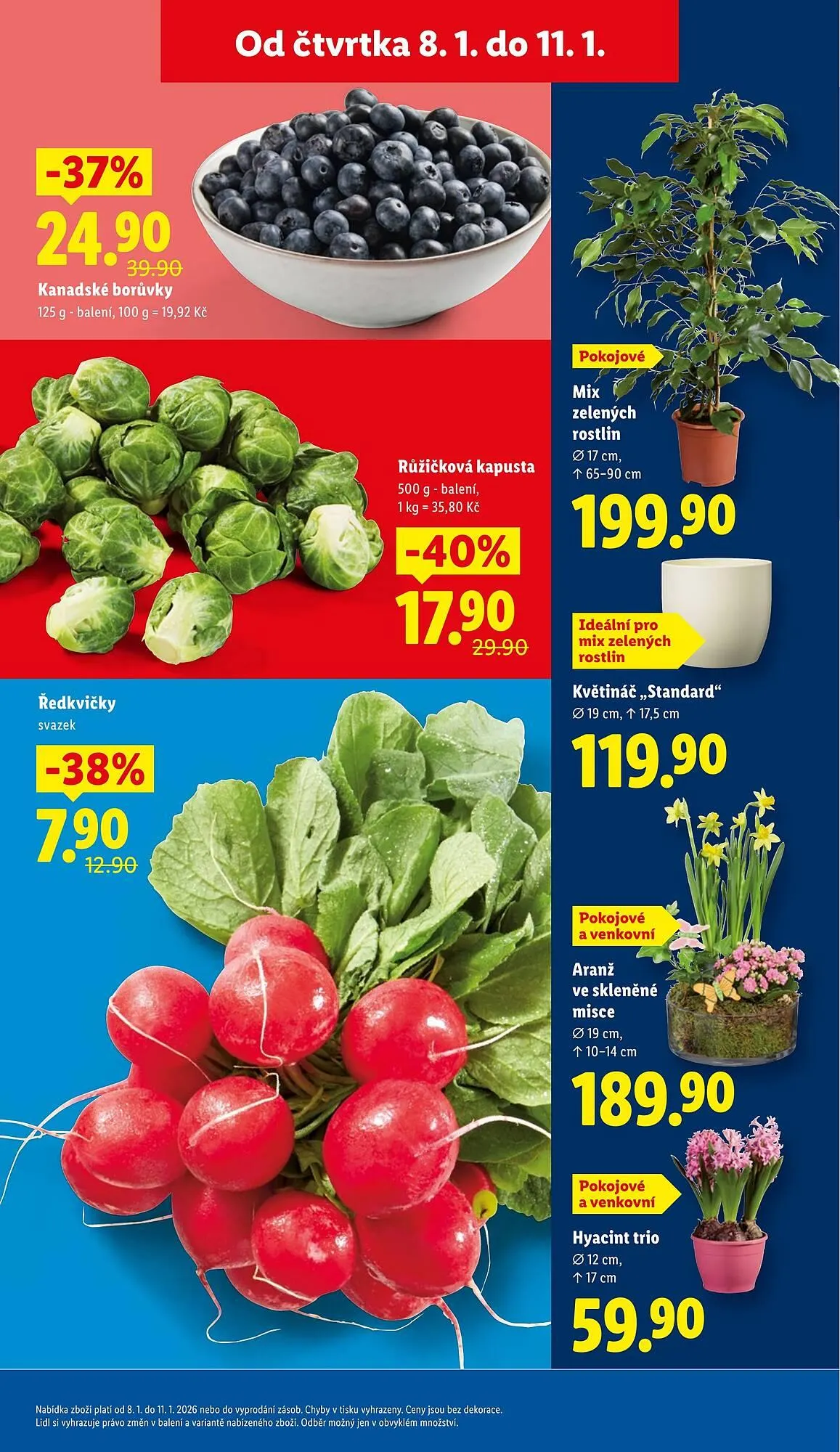 Lidl leták - 8. ledna 11. ledna 2026 - Page 9