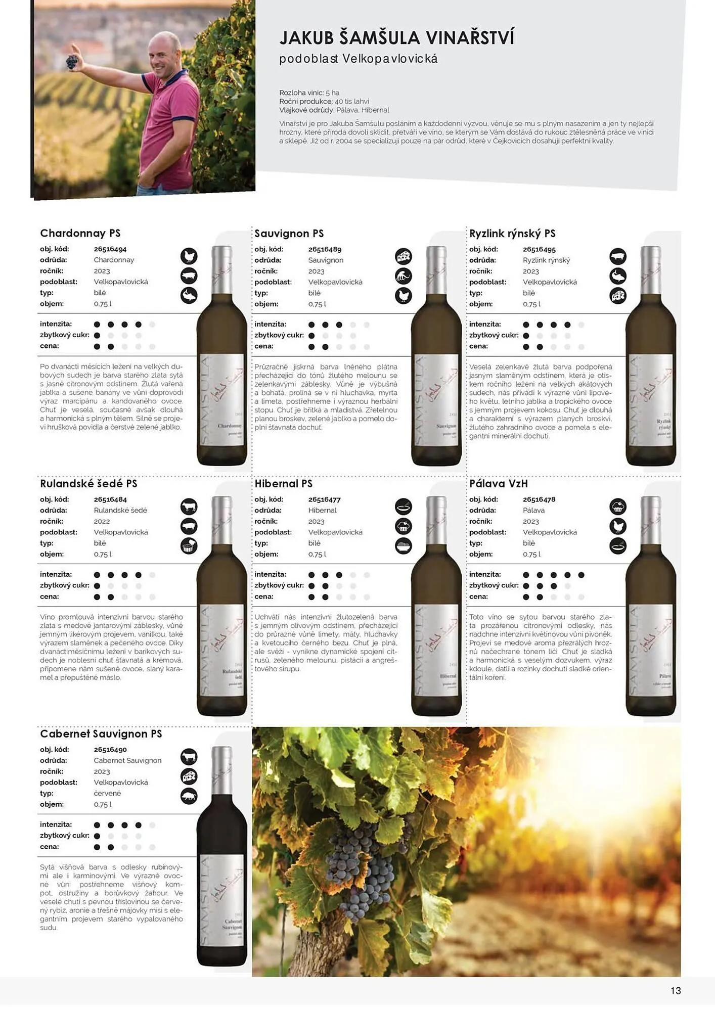 Jip leták - 9. března 31. prosince 2025 - Page 15