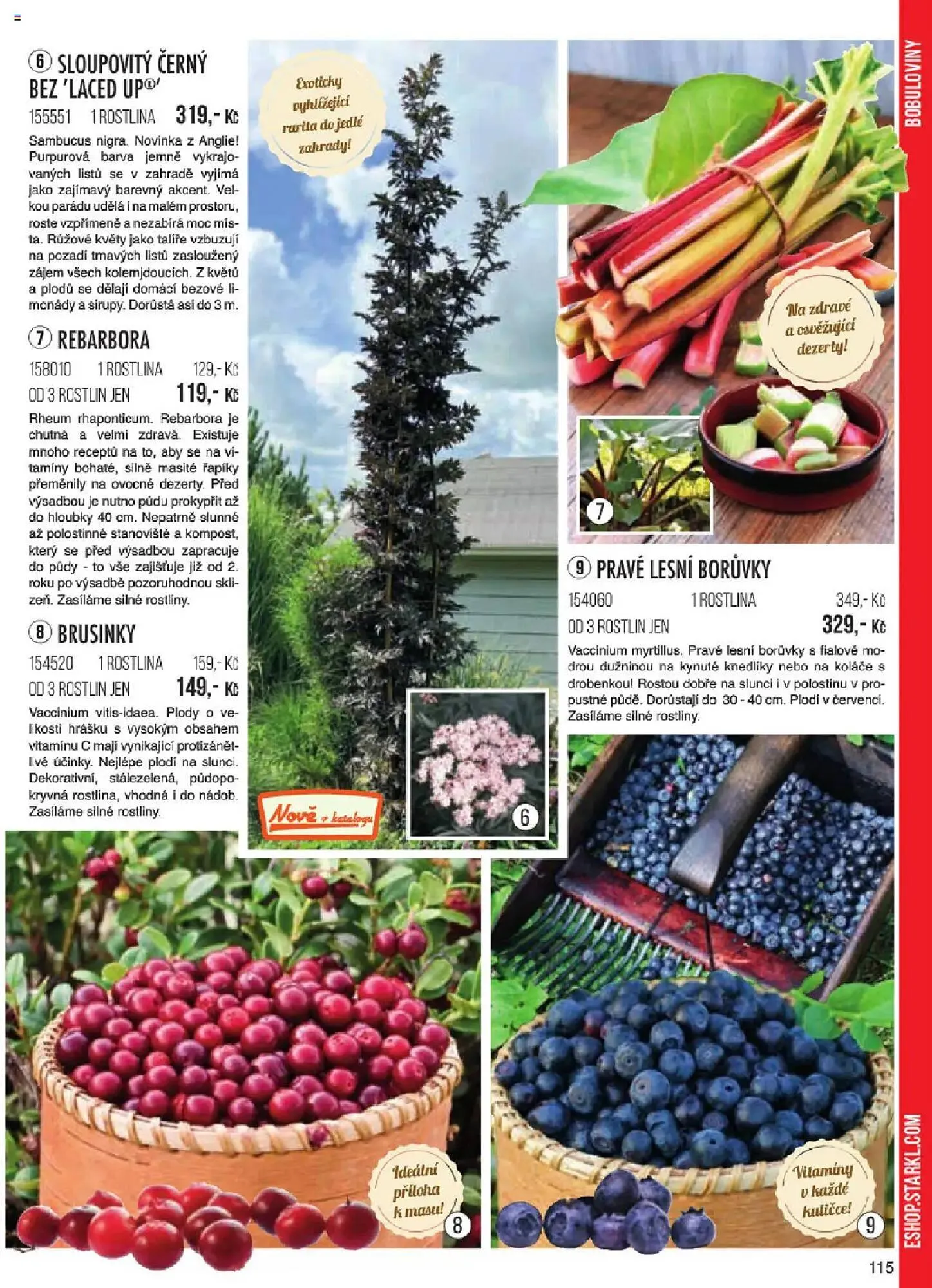 Starkl leták - 6. ledna 31. května 2025 - Page 115