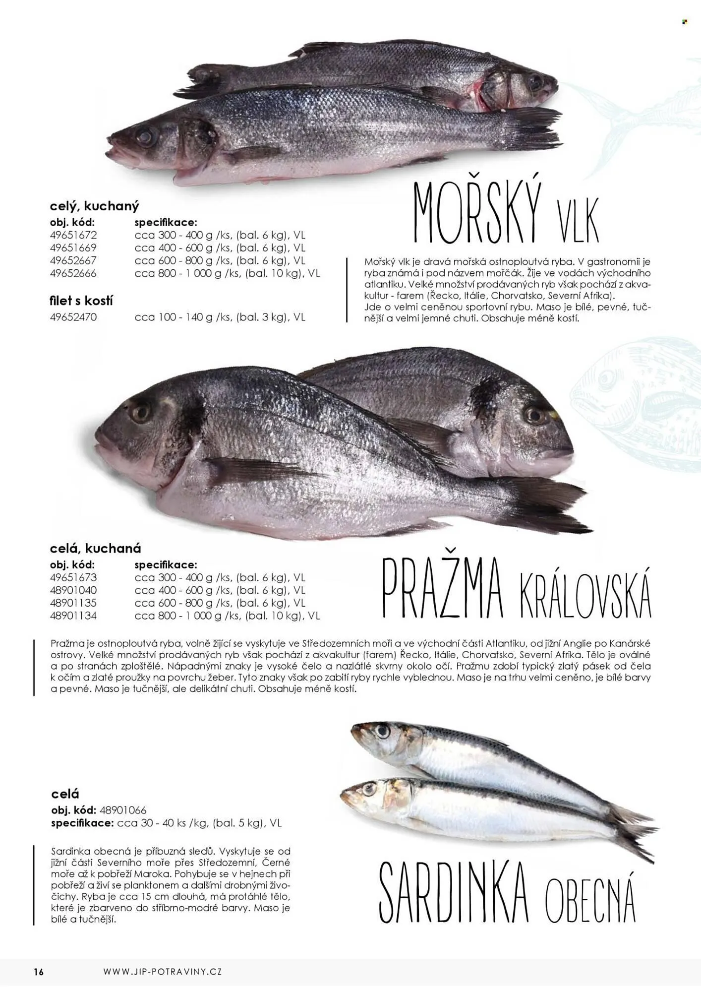 Jip leták - 7. května 31. prosince 2025 - Page 16