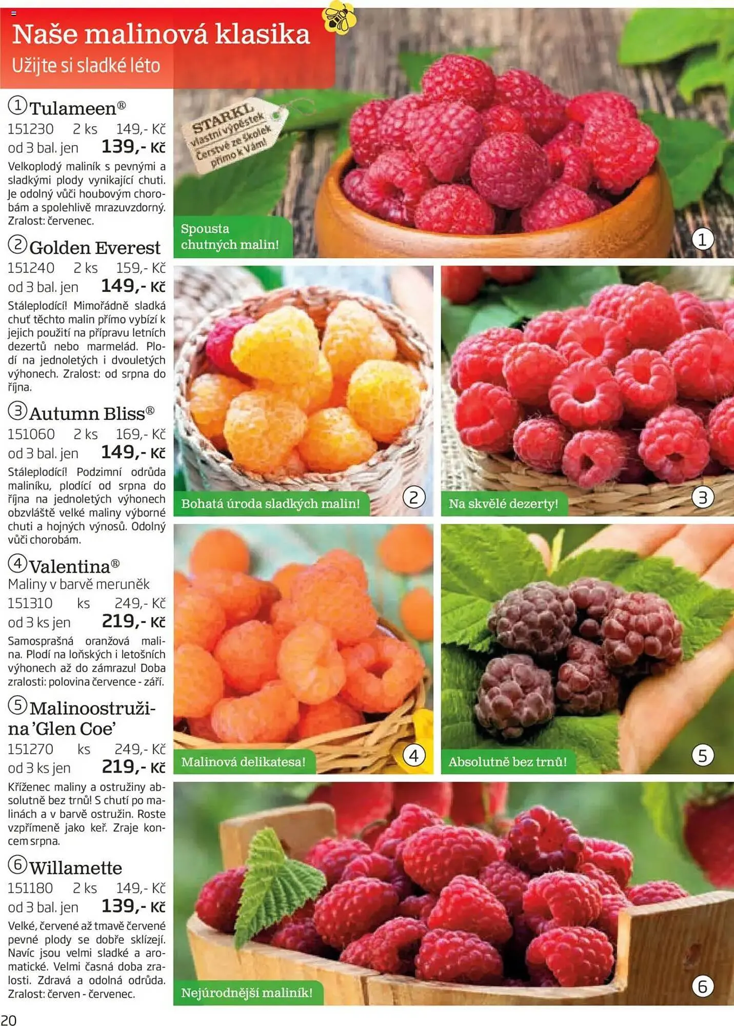 Starkl leták - 1. srpna 30. listopadu 2025 - Page 20