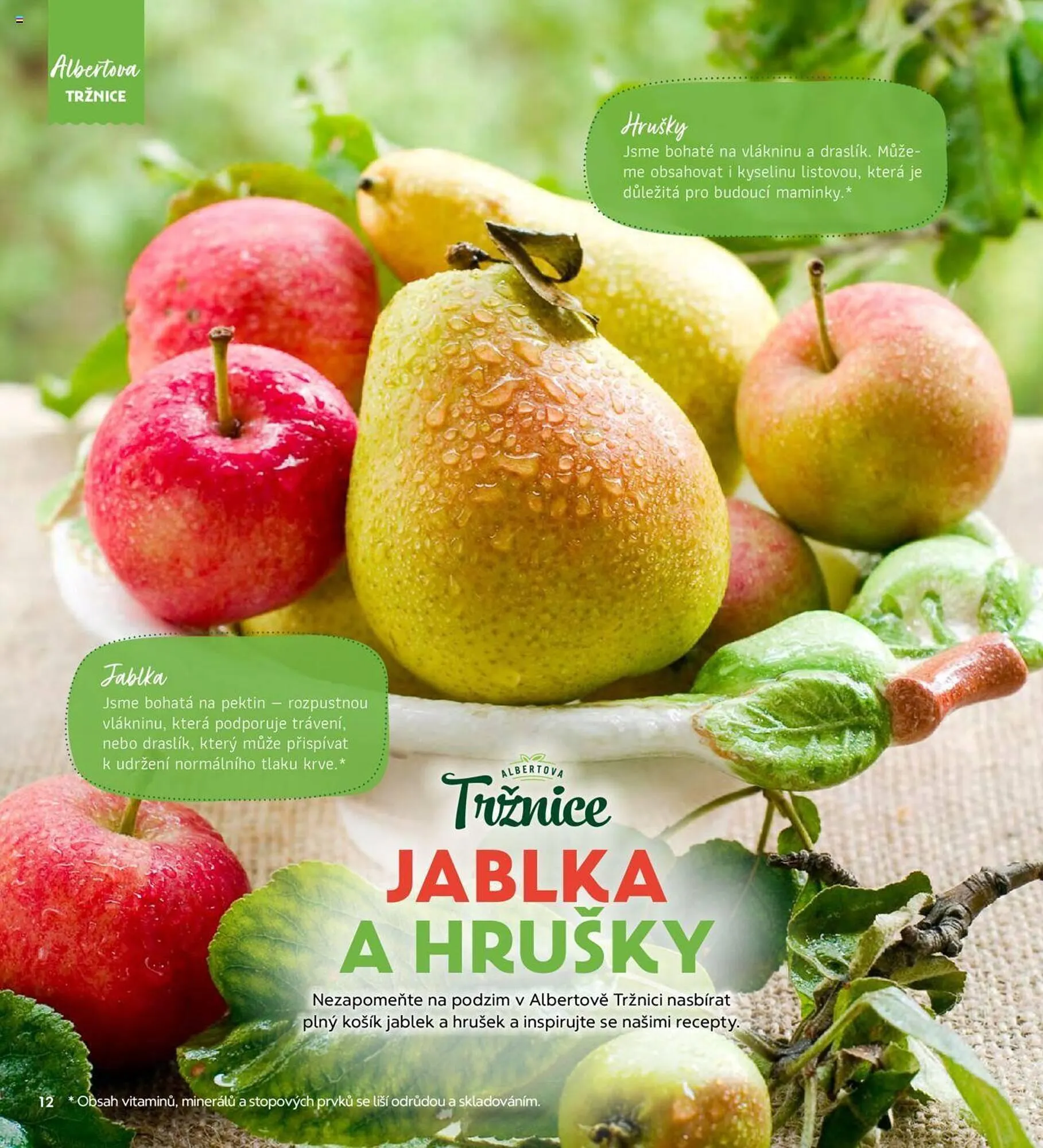 Albert leták - 1. října 31. října 2024 - Page 12