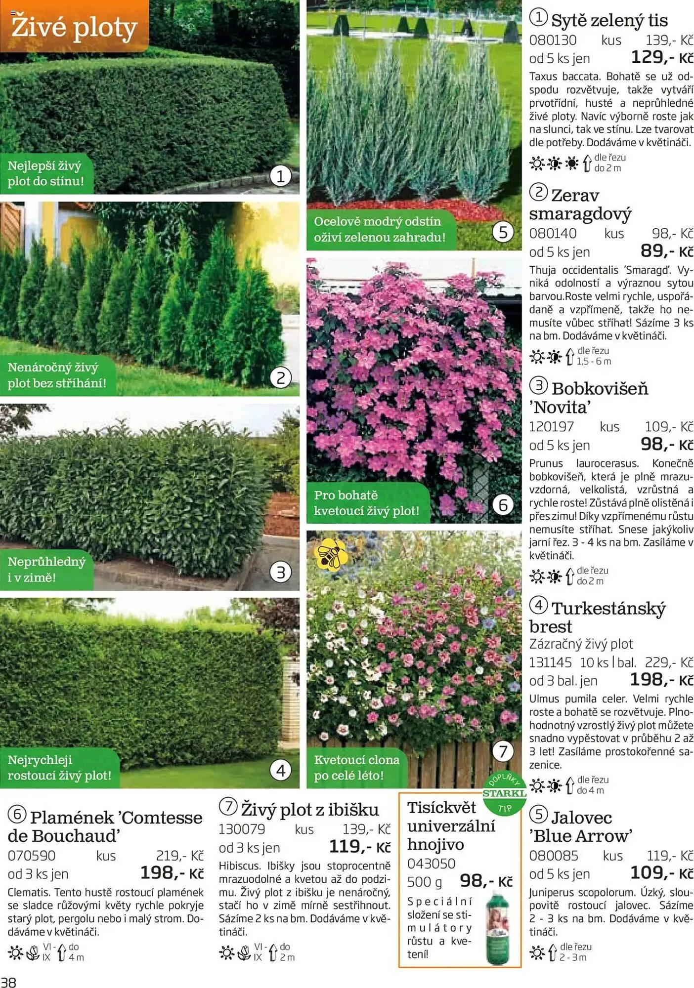 Starkl leták - 1. srpna 30. listopadu 2025 - Page 38