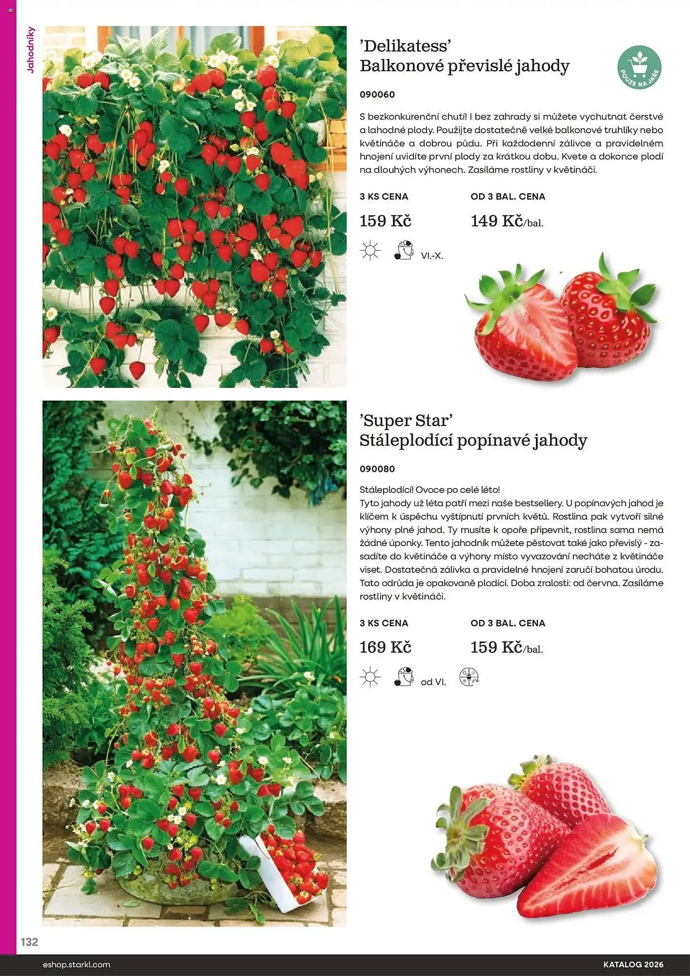 Starkl katalog - 25. února 31. prosince 2026 - Page 132