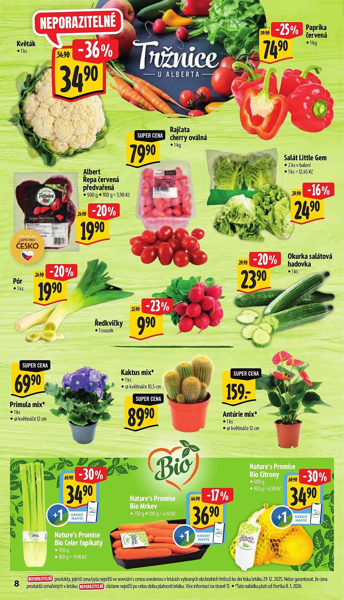 Albert leták - 7. ledna 13. ledna 2026 - Page 13