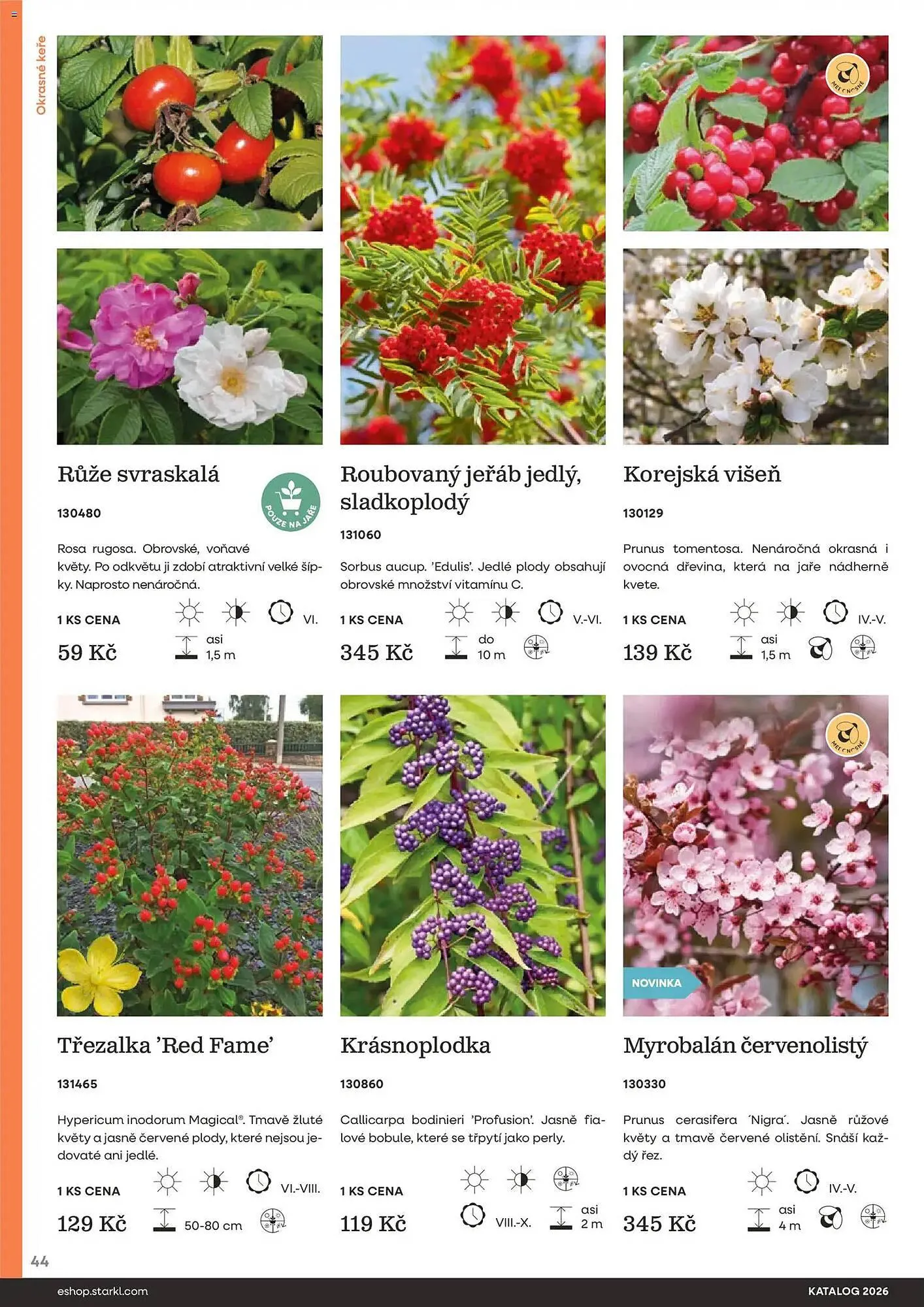 Starkl katalog - 25. února 31. prosince 2026 - Page 44