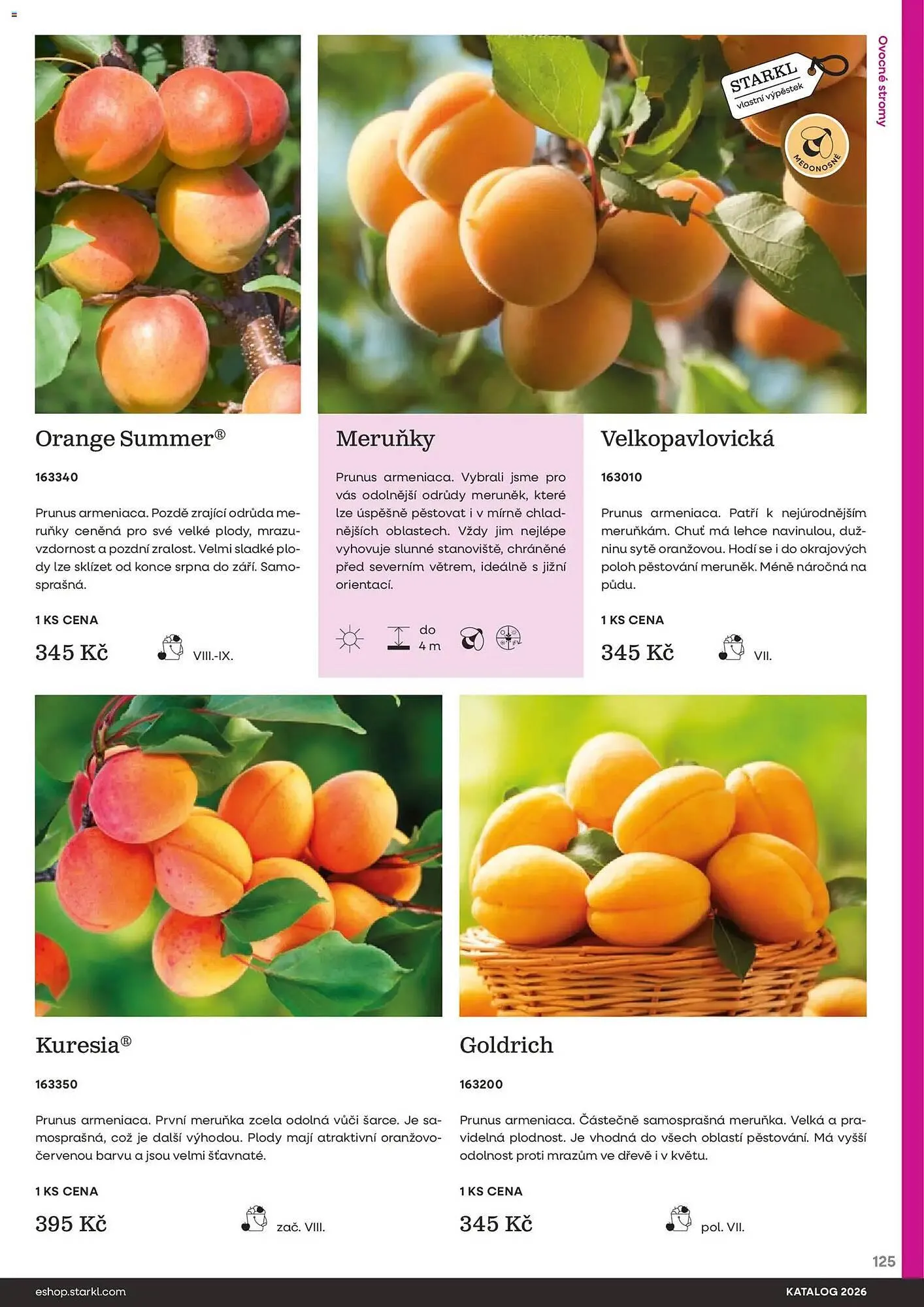 Starkl katalog - 25. února 31. prosince 2026 - Page 125