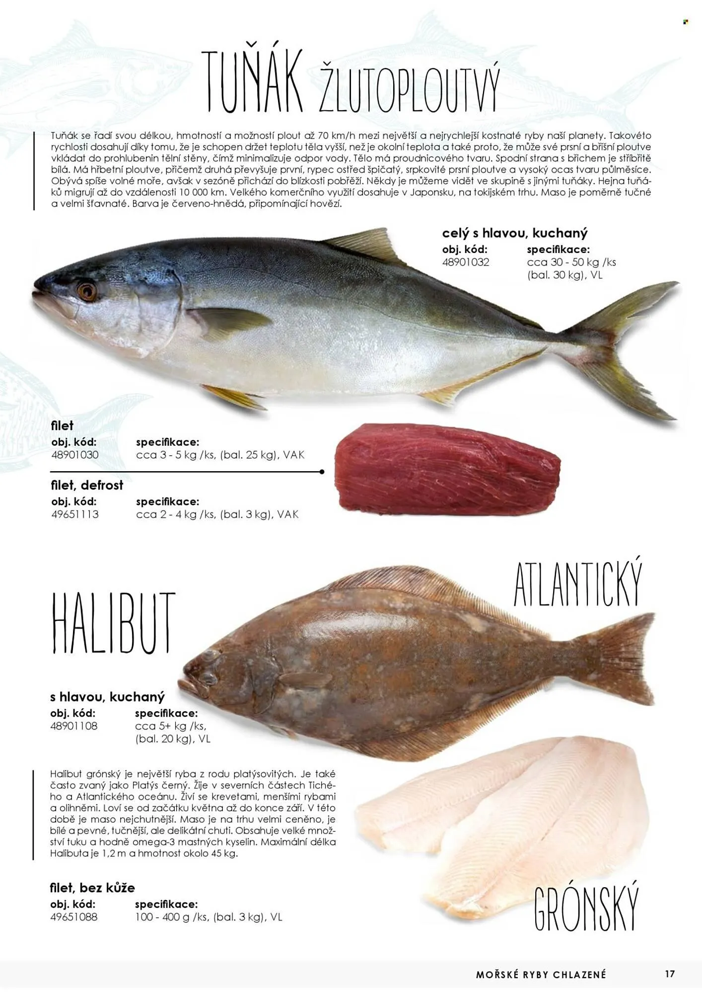 Jip leták - 7. května 31. prosince 2025 - Page 17