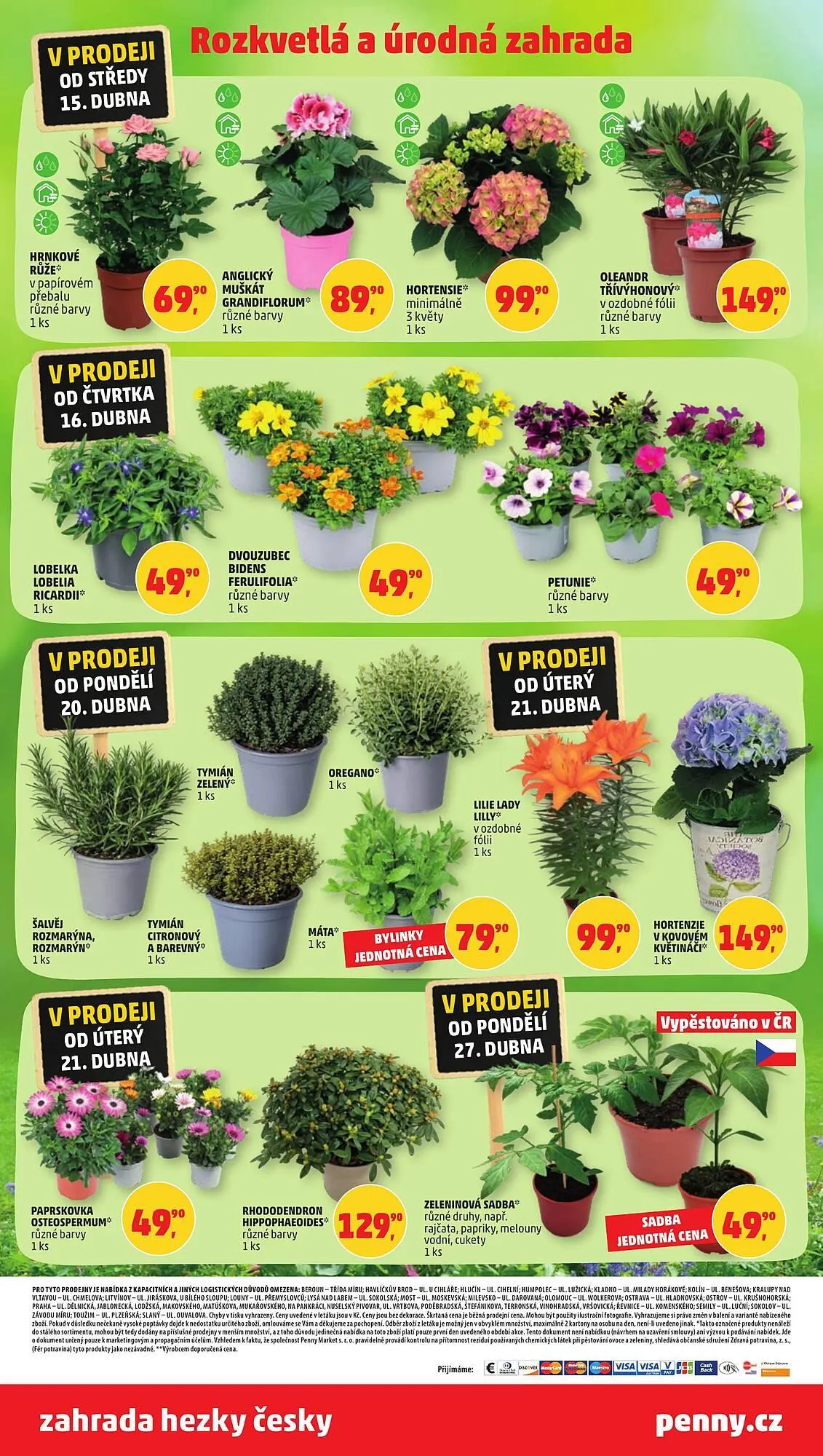 Penny Market leták - 15. dubna 28. dubna 2026 - Page 8