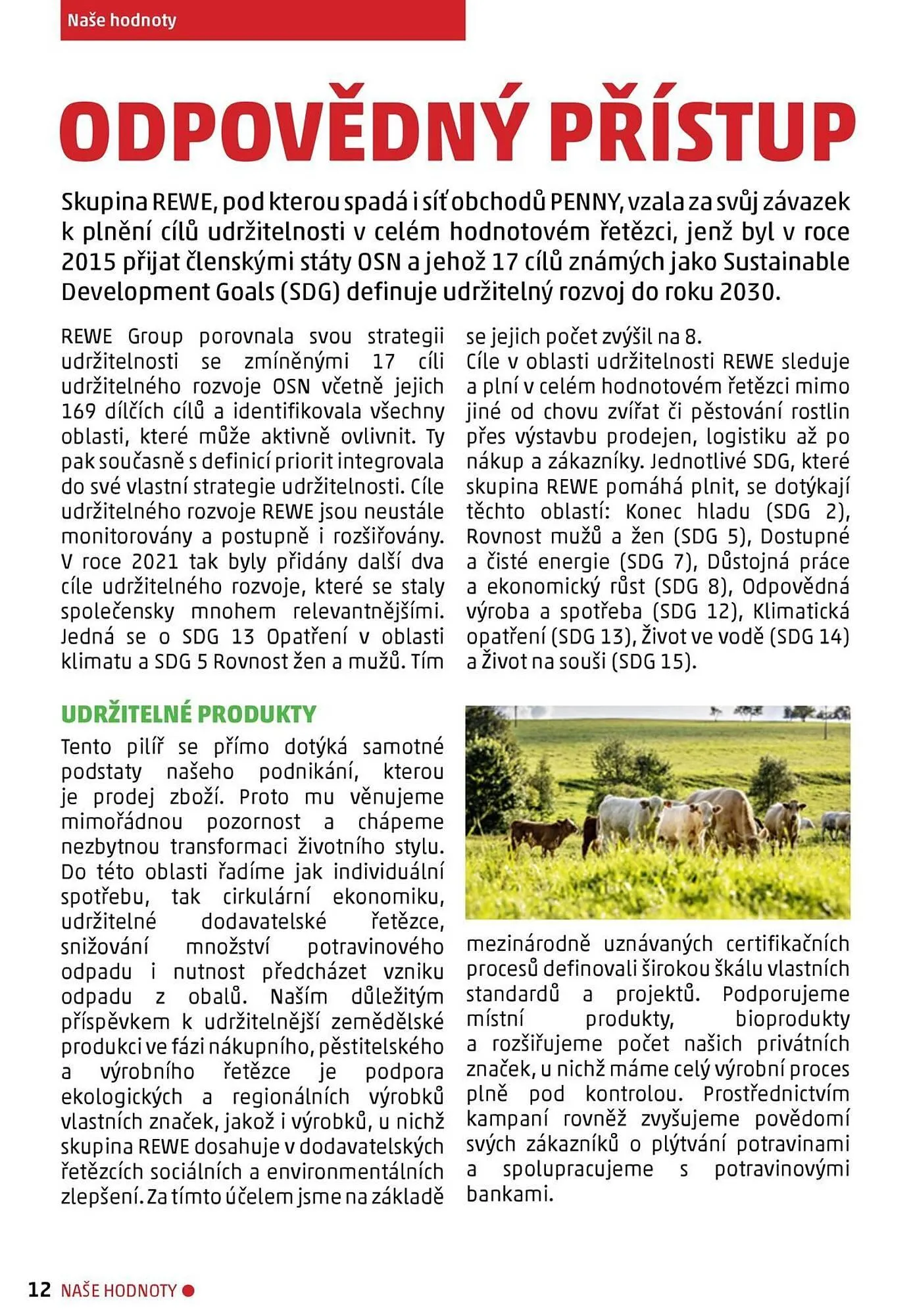 Penny Market leták - 22. listopadu 20. ledna 2026 - Page 12