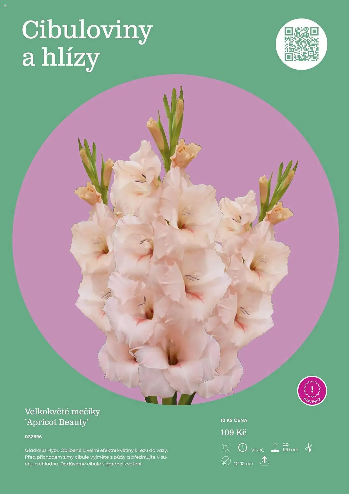 Starkl katalog - 25. února 31. prosince 2026 - Page 79