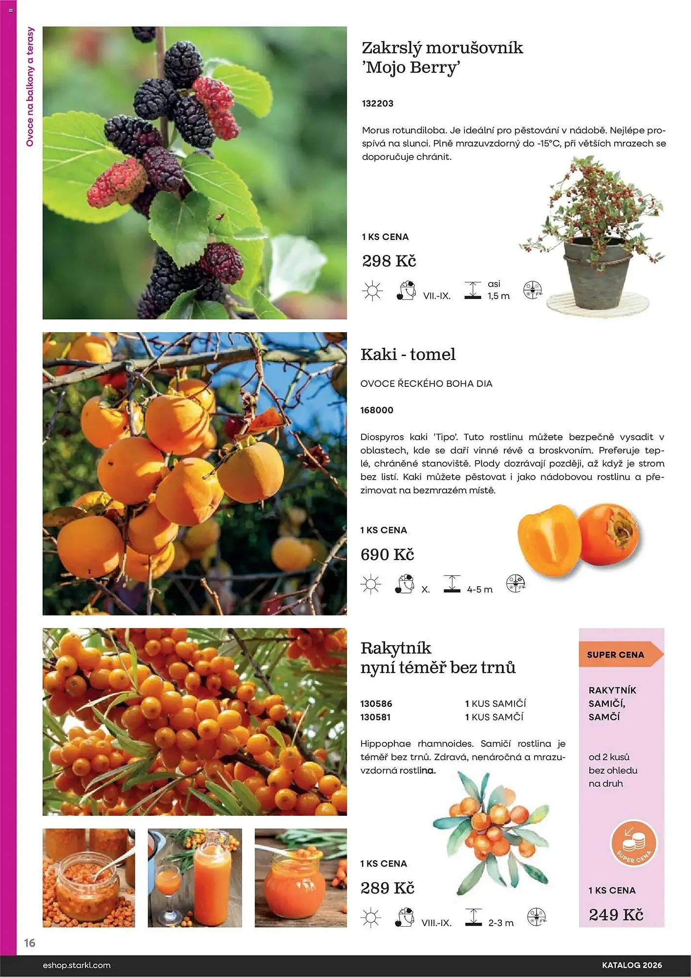 Starkl katalog - 25. února 31. prosince 2026 - Page 16