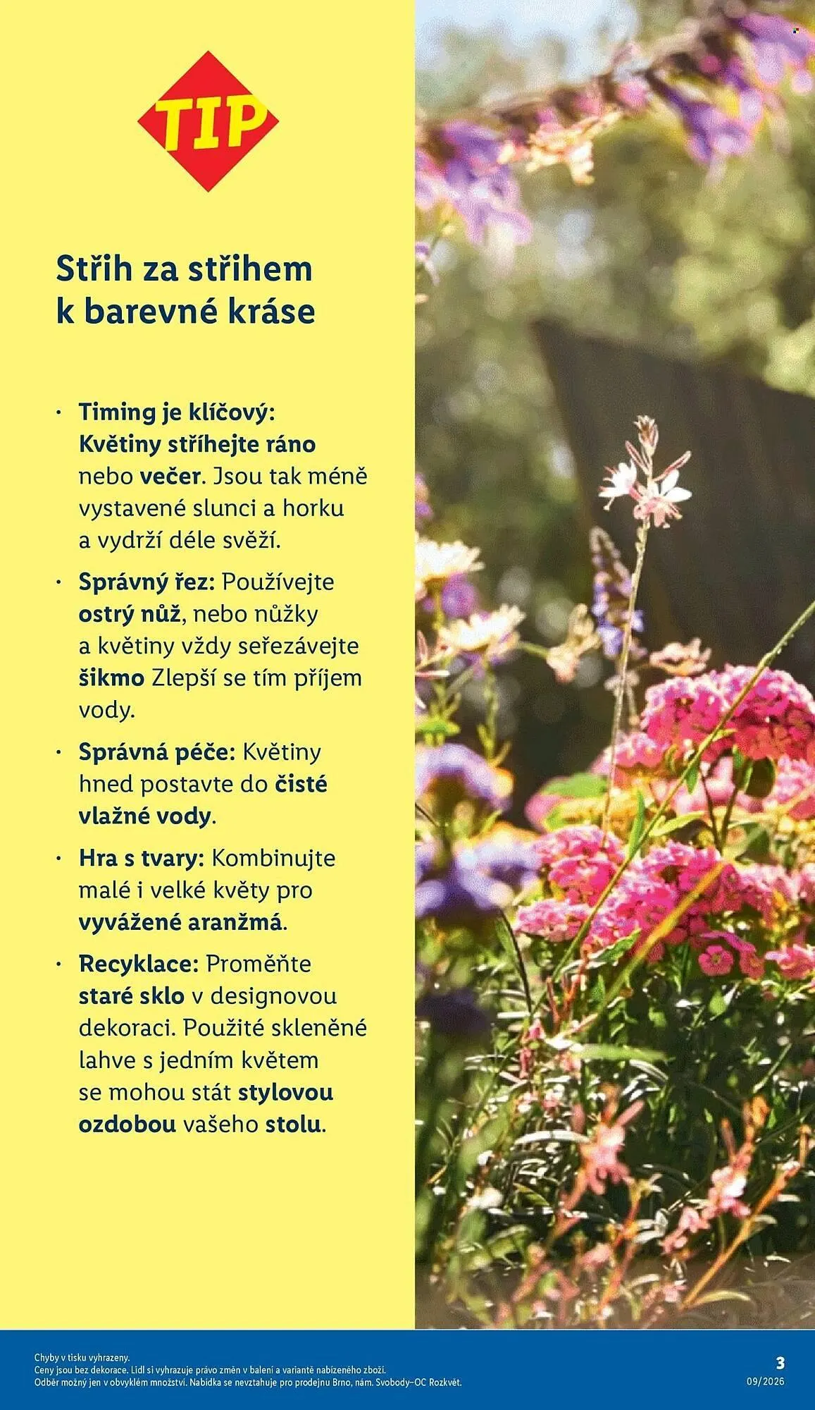 Lidl leták - 26. února 15. března 2026 - Page 3