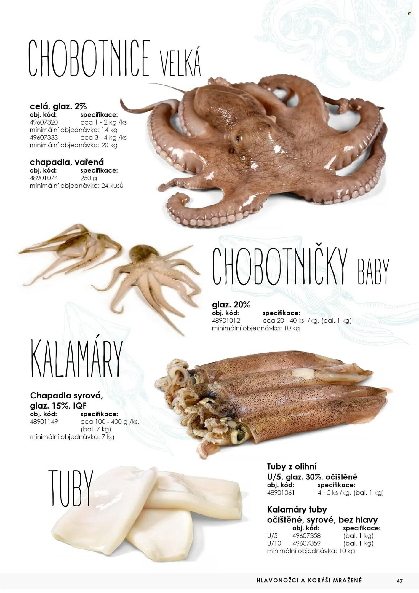 Jip leták - 7. května 31. prosince 2025 - Page 47