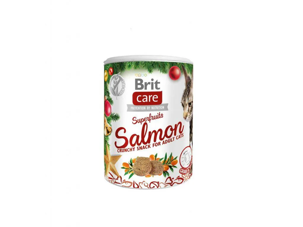 Brit Care Cat Christmas Superfruits 100 g
