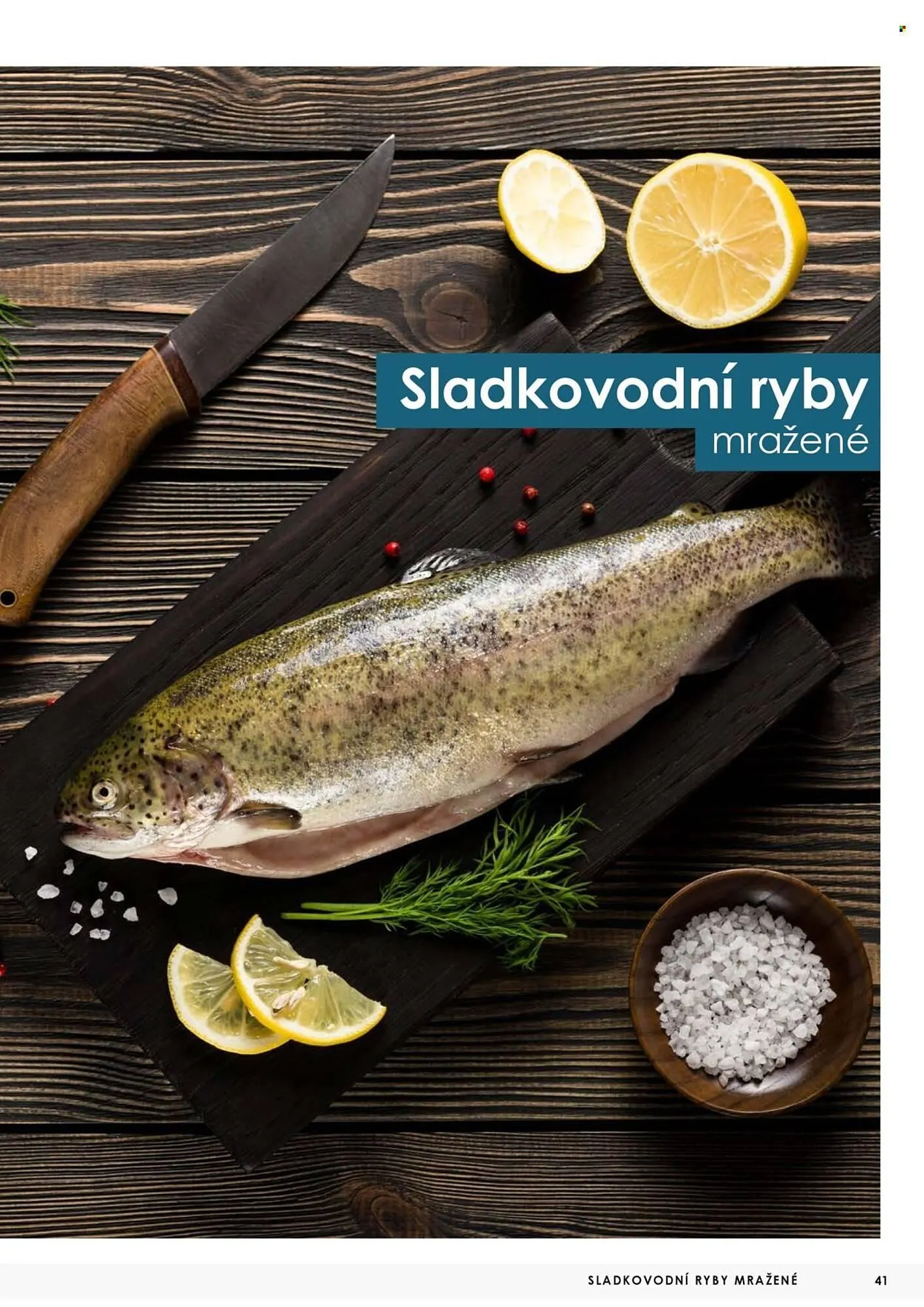 Jip leták - 7. května 31. prosince 2025 - Page 41