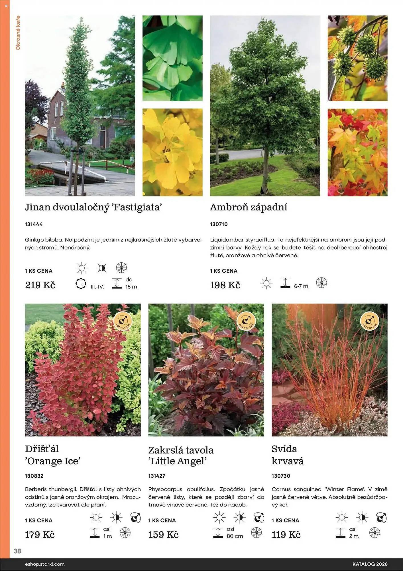 Starkl katalog - 25. února 31. prosince 2026 - Page 38