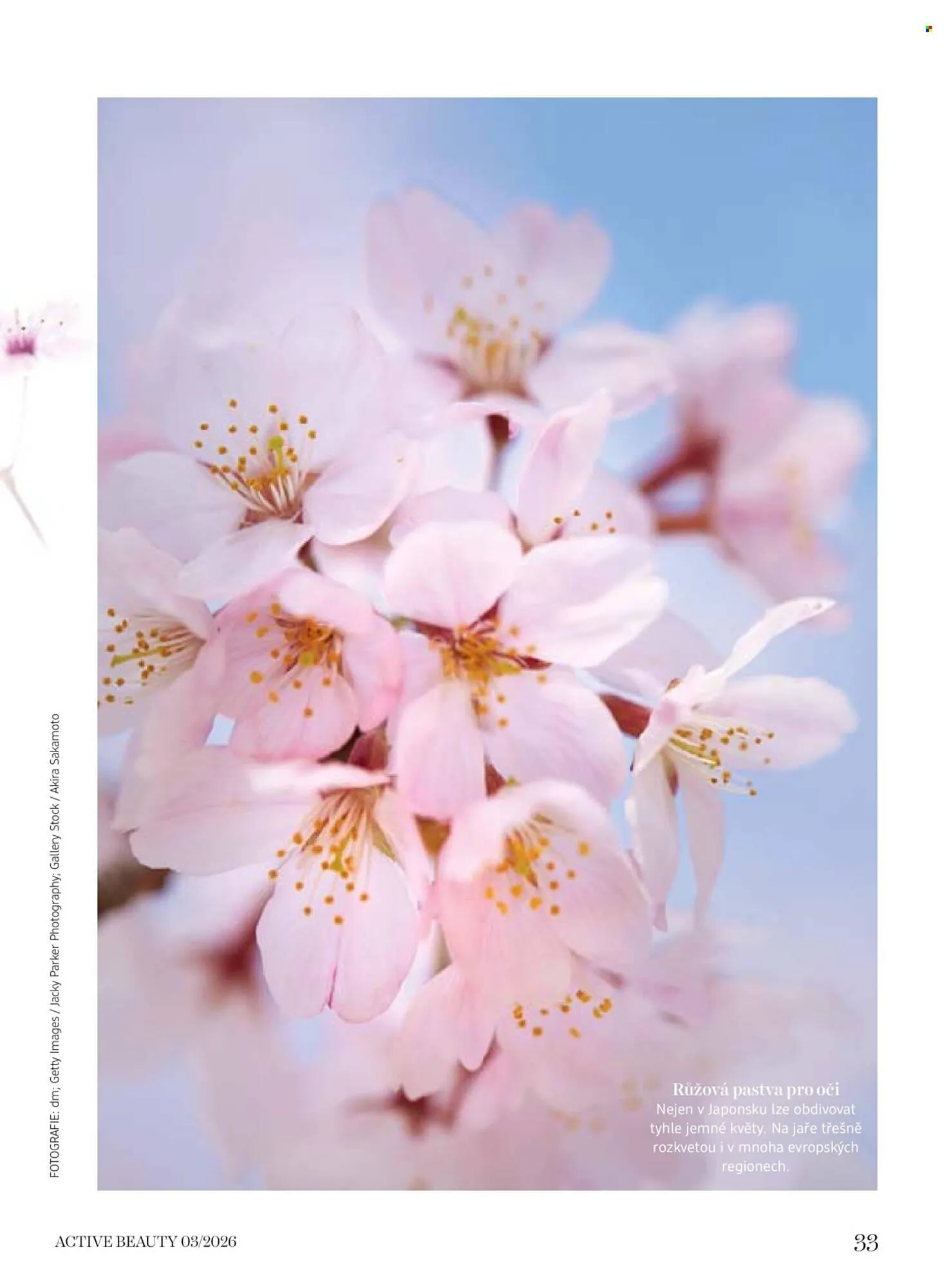 Dm drogerie leták - 6. března 9. dubna 2026 - Page 33