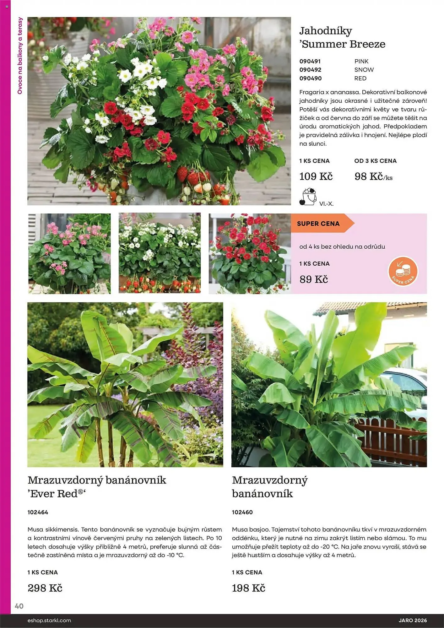 Starkl katalog - 25. února 31. května 2026 - Page 40