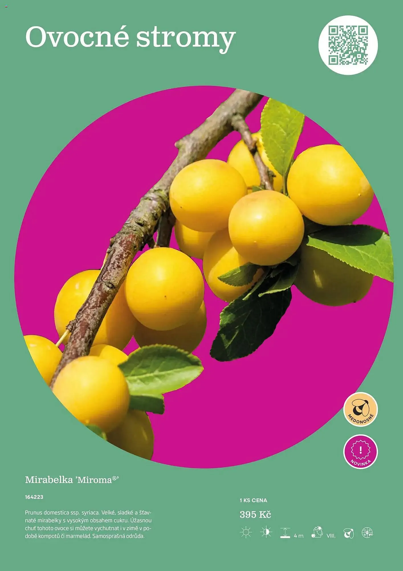 Starkl katalog - 25. února 31. prosince 2026 - Page 111