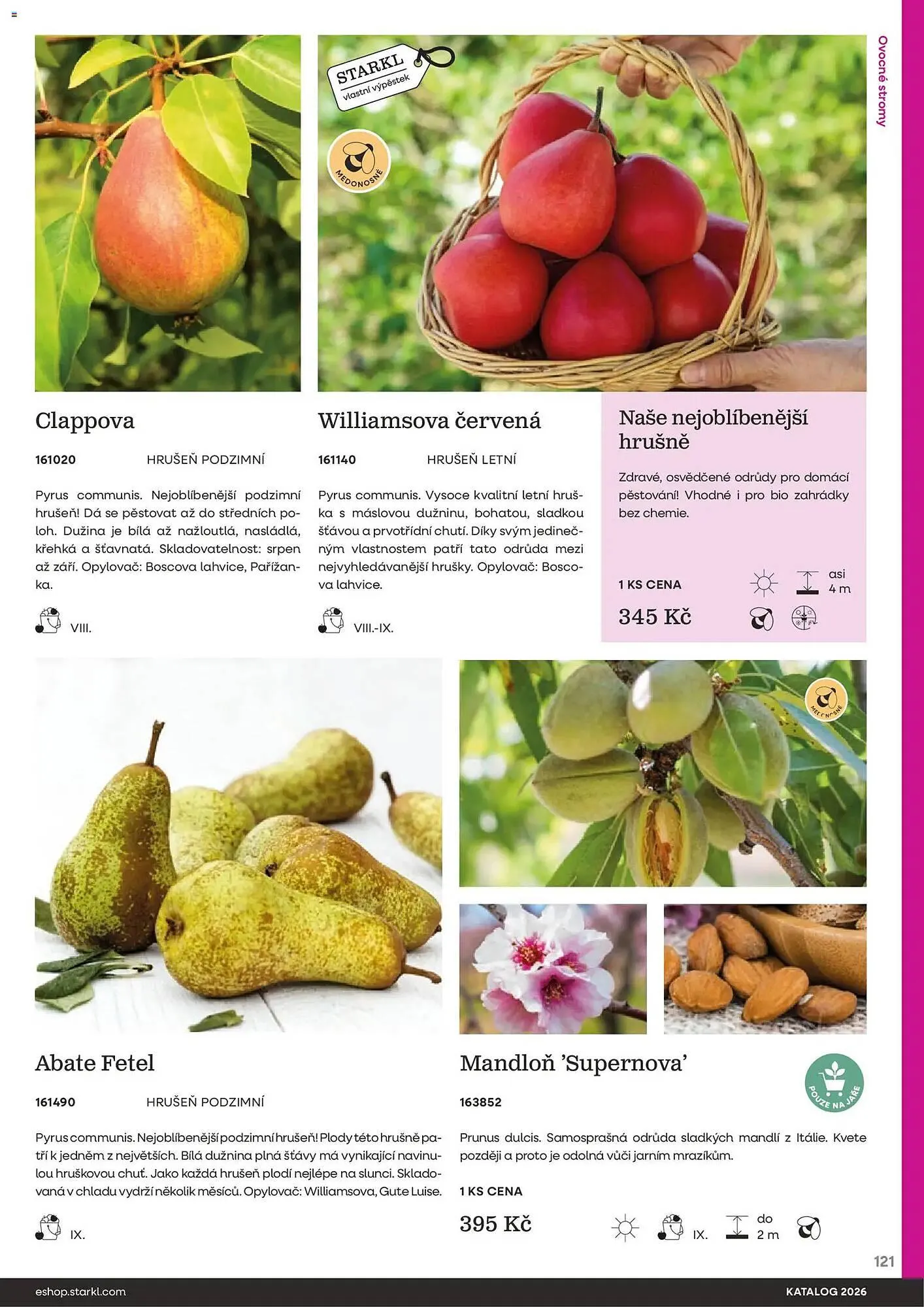 Starkl katalog - 25. února 31. prosince 2026 - Page 121