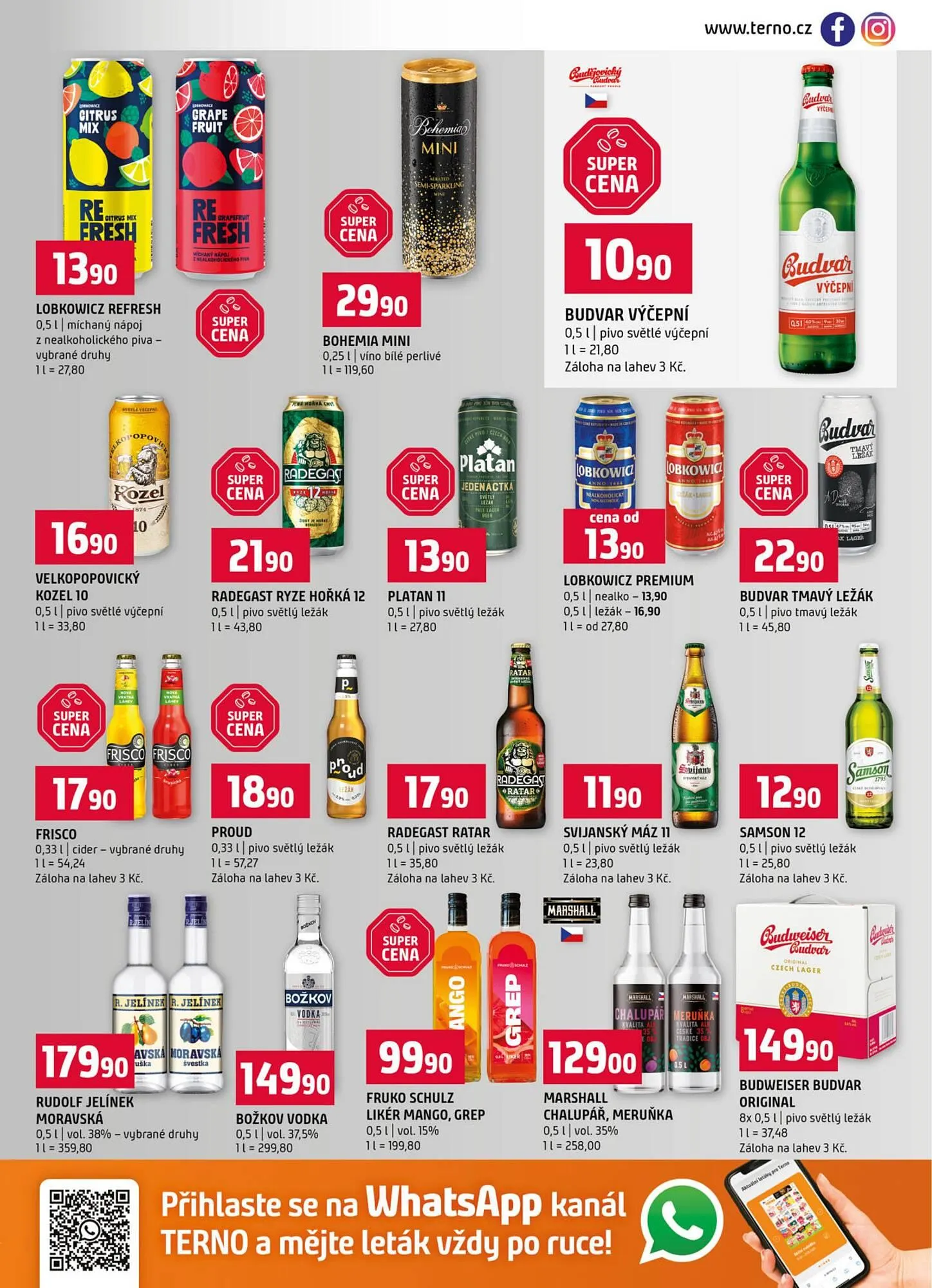 Terno leták - 21. ledna 27. ledna 2026 - Page 13