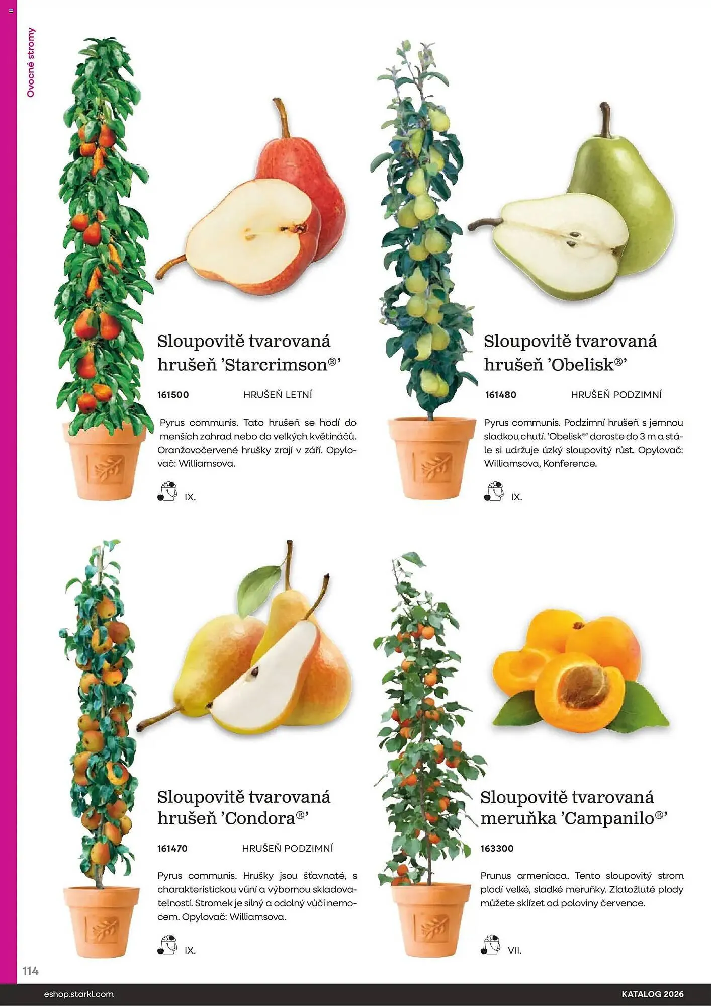 Starkl katalog - 25. února 31. prosince 2026 - Page 114