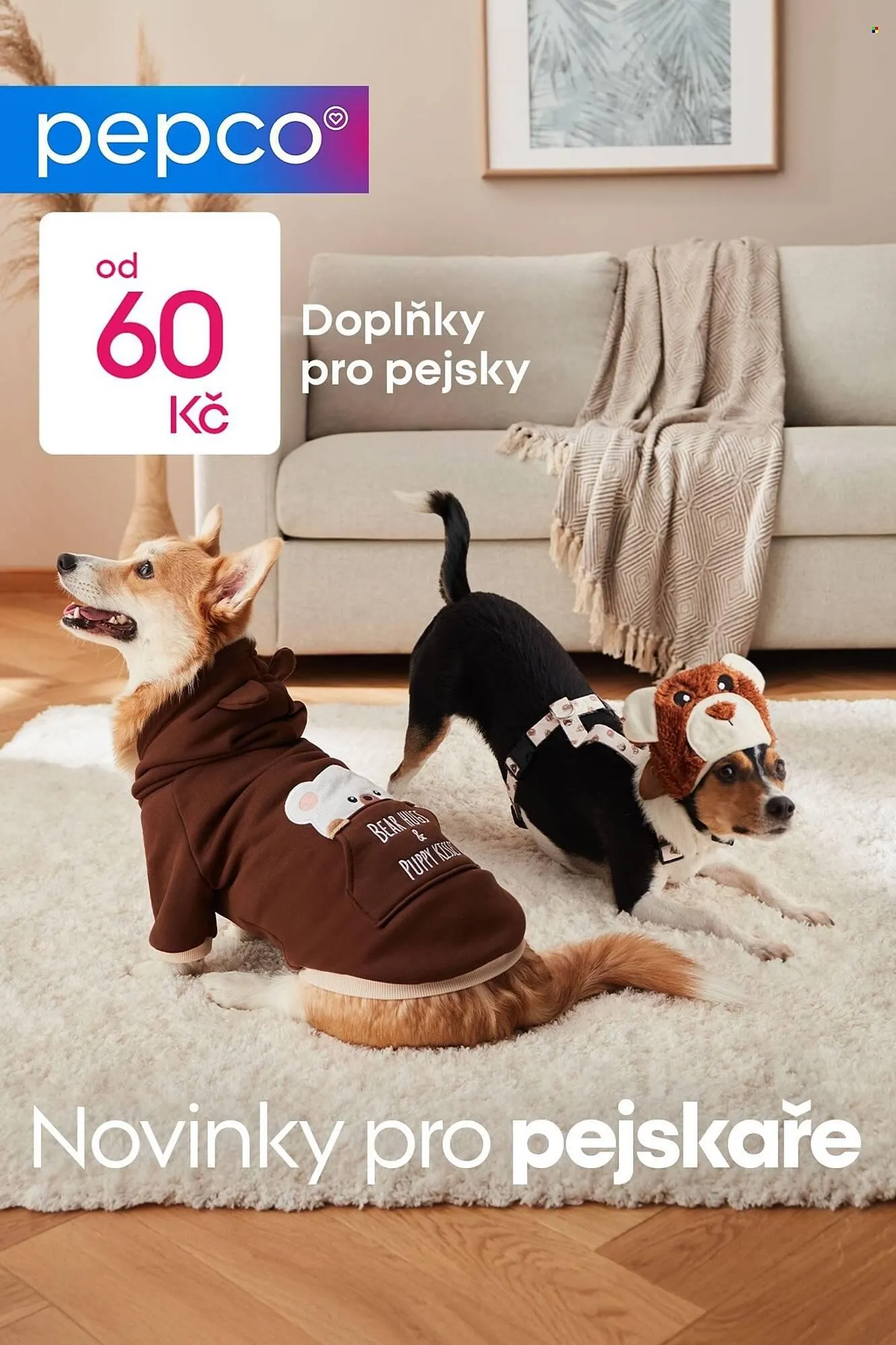 Pepco leták - 12. ledna 20. ledna 2026 - Page 1