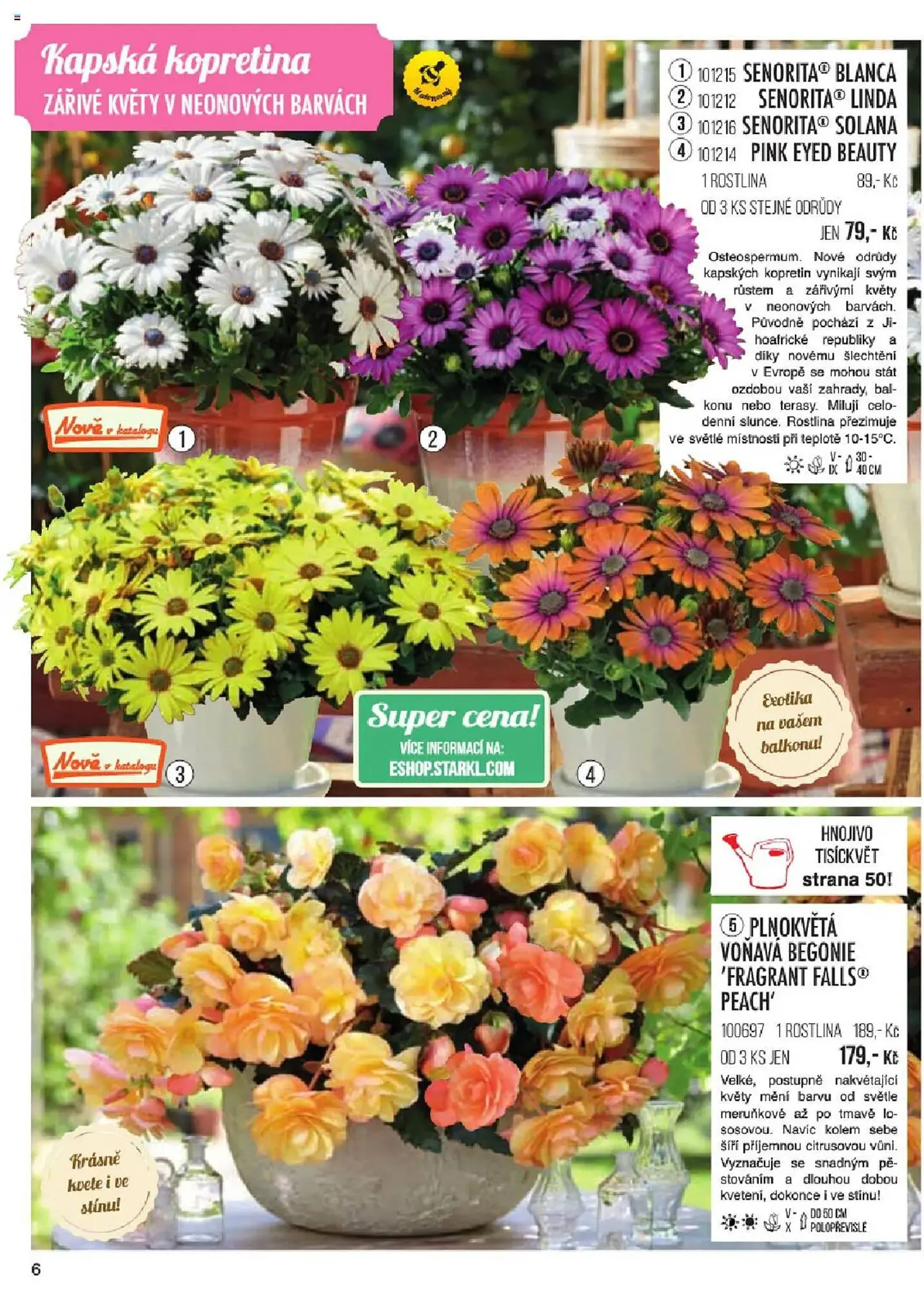 Starkl leták - 6. ledna 31. května 2025 - Page 6