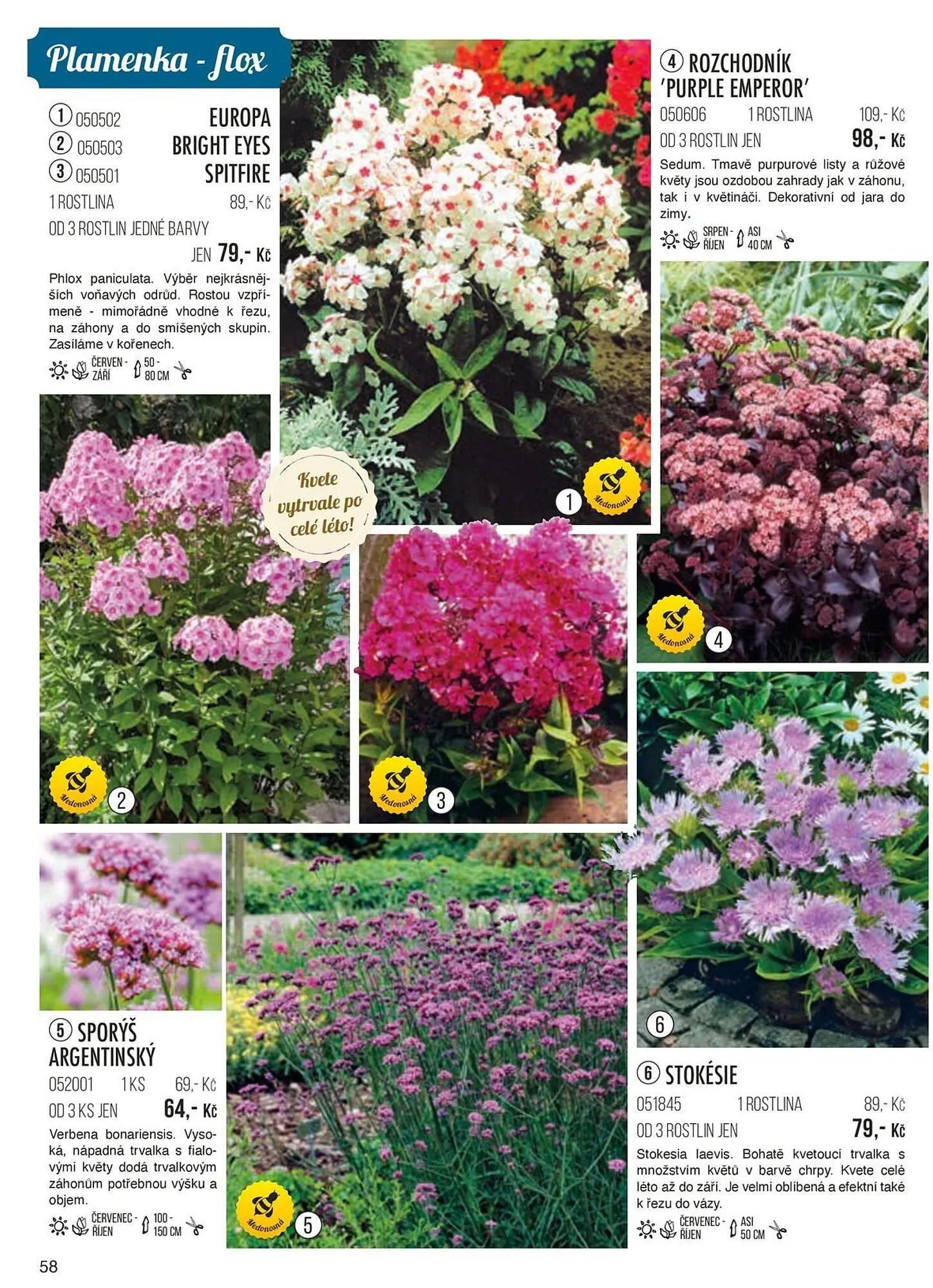 Starkl leták - 1. září 30. listopadu 2024 - Page 58