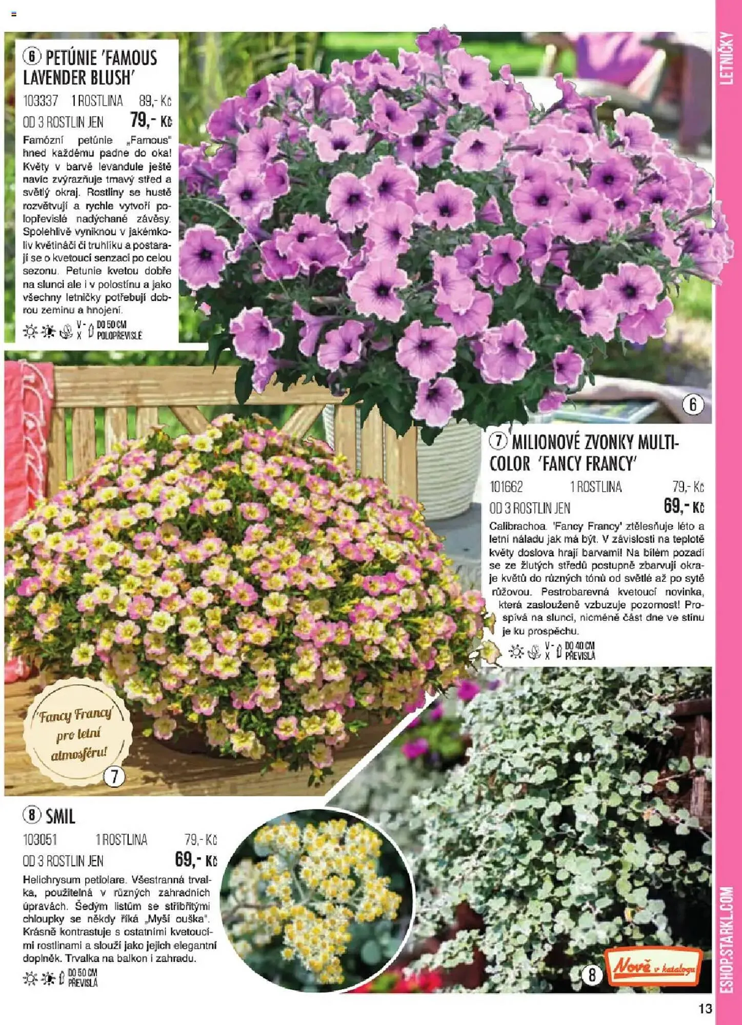 Starkl leták - 6. ledna 31. května 2025 - Page 13