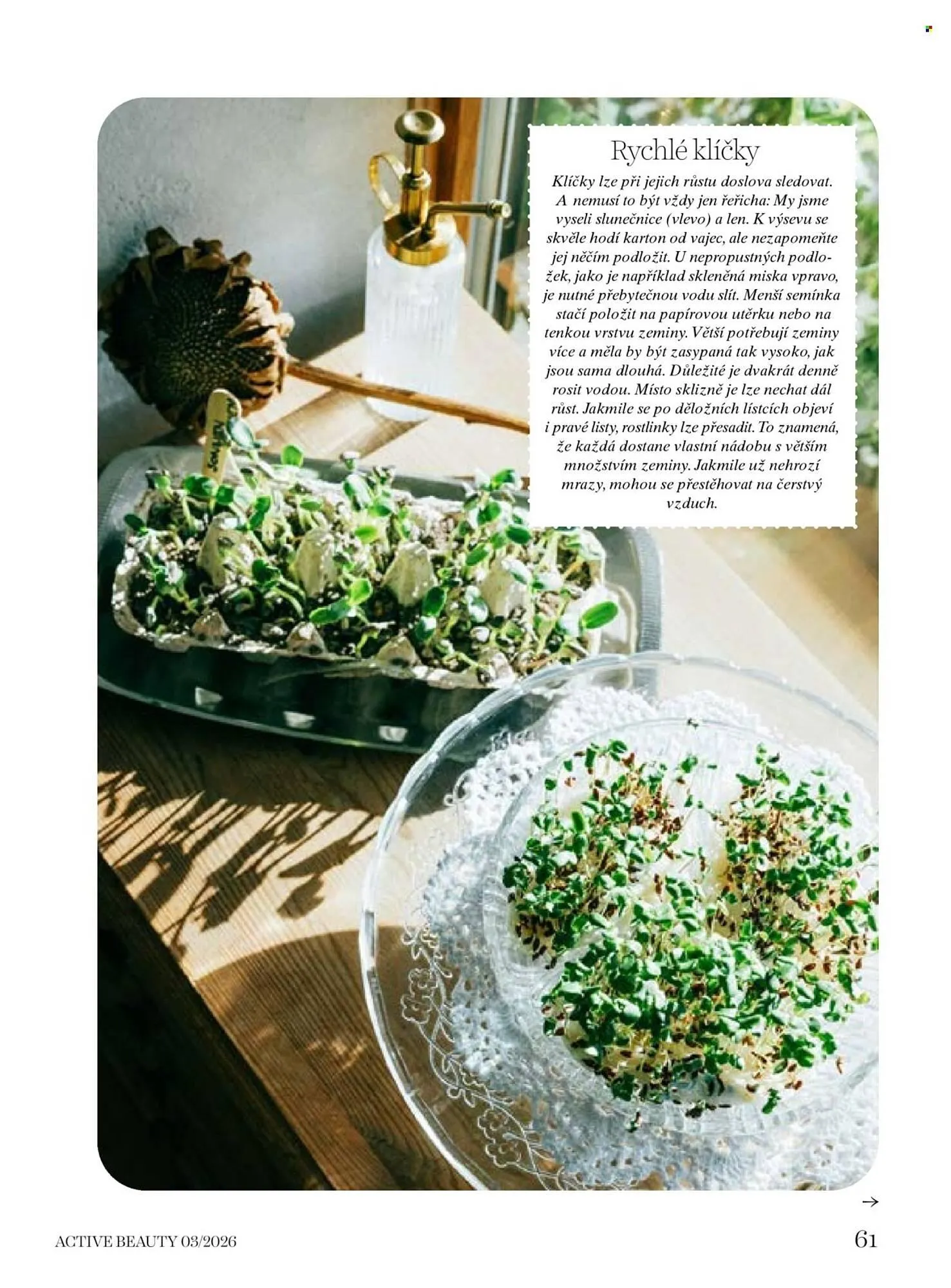 Dm drogerie leták - 6. března 9. dubna 2026 - Page 61