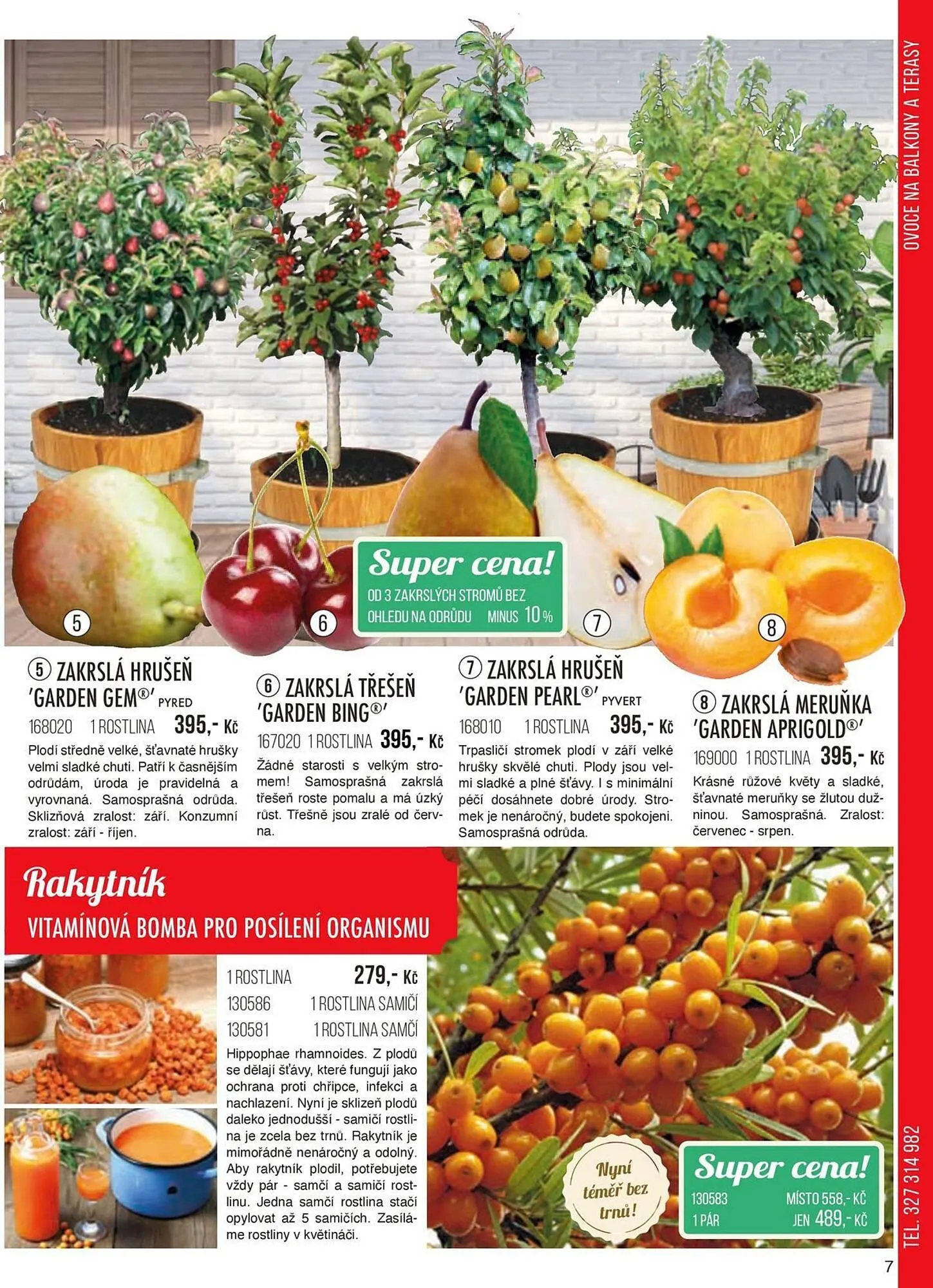 Starkl leták - 1. září 30. listopadu 2024 - Page 7