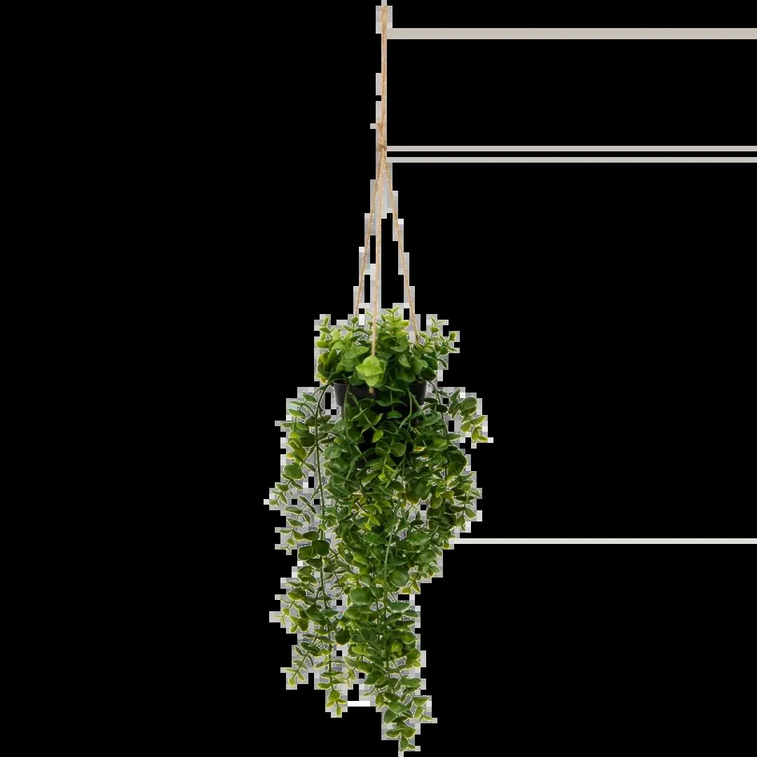 Umělá převislá rostlina