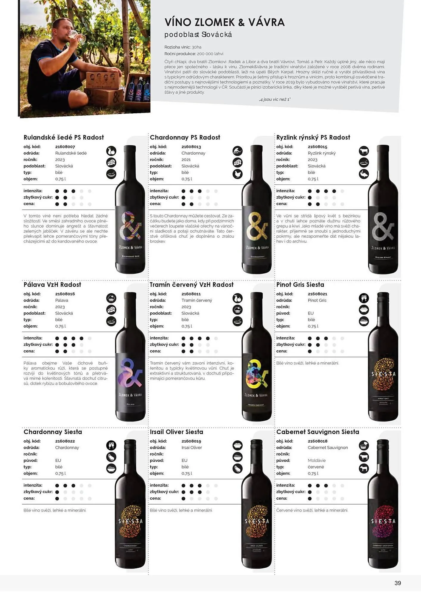 Jip leták - 9. března 31. prosince 2025 - Page 41