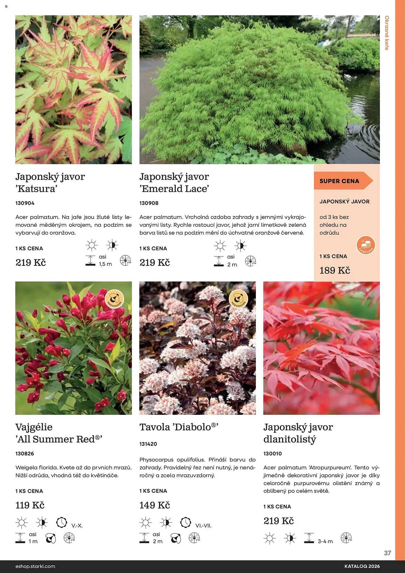 Starkl katalog - 25. února 31. prosince 2026 - Page 37