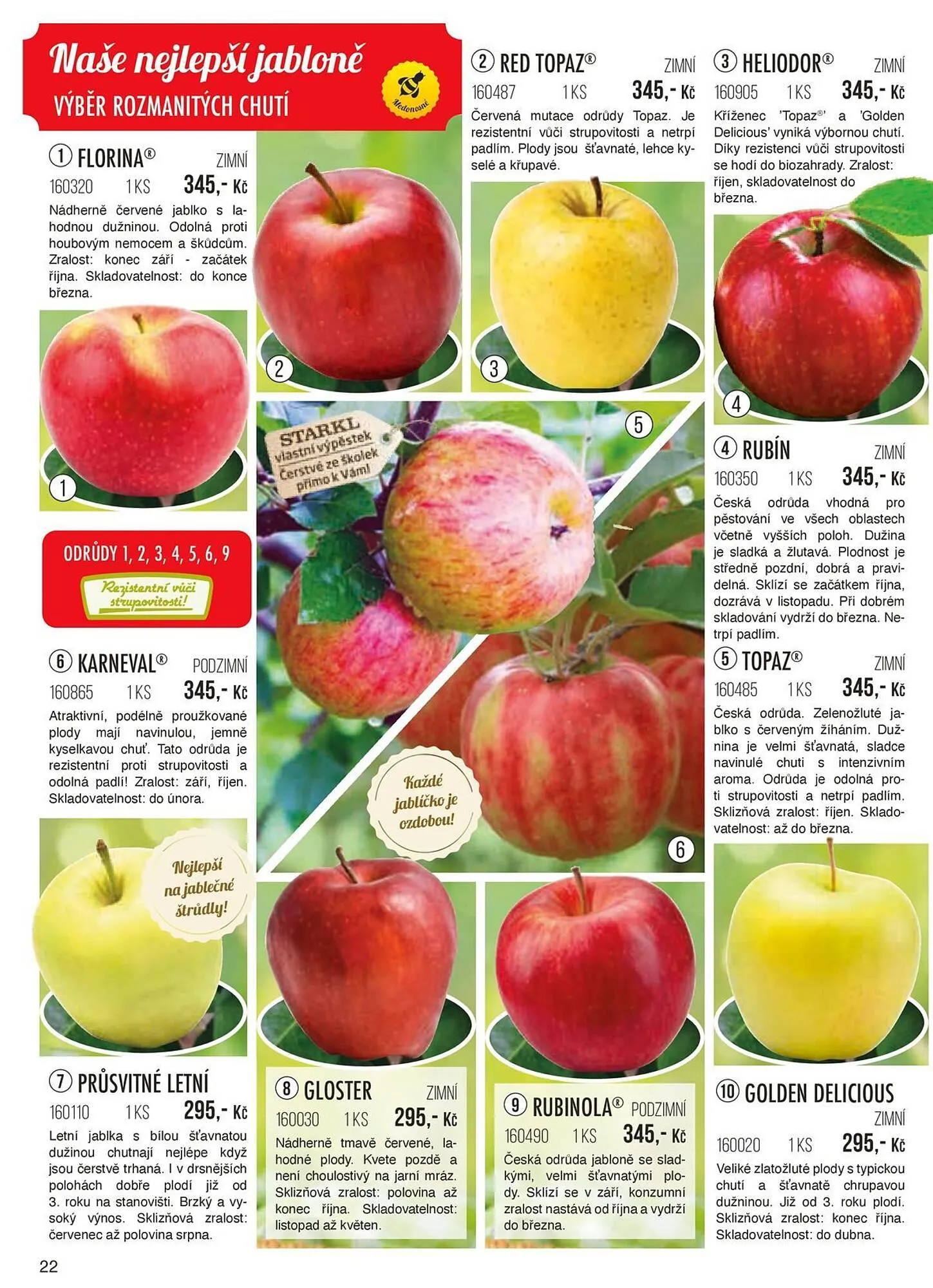 Starkl leták - 1. září 30. listopadu 2024 - Page 22