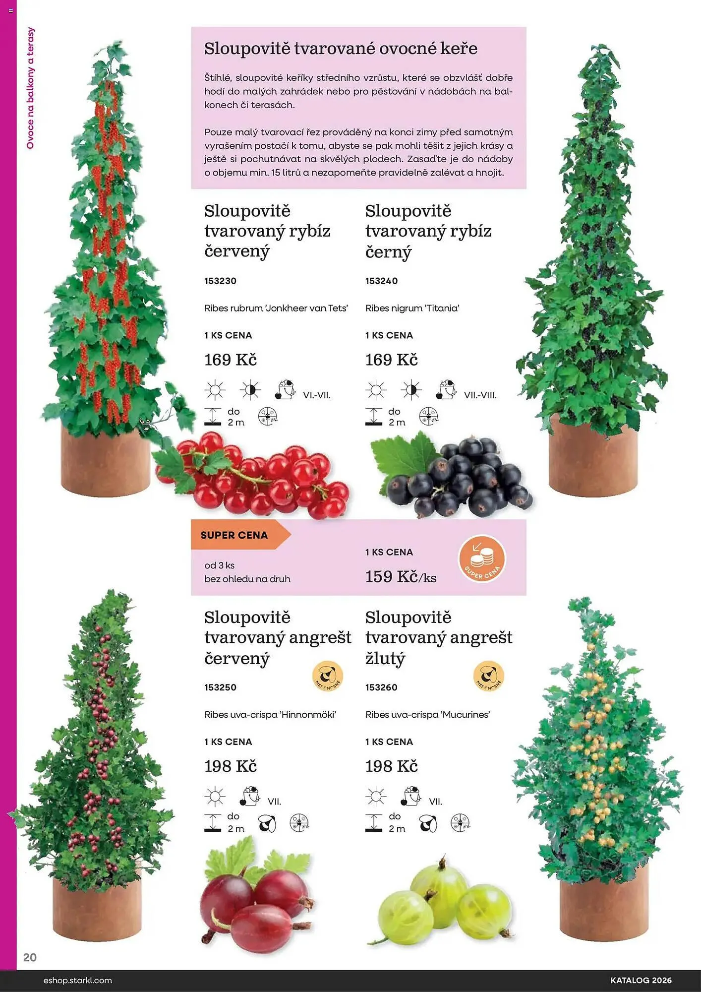 Starkl katalog - 25. února 31. prosince 2026 - Page 20