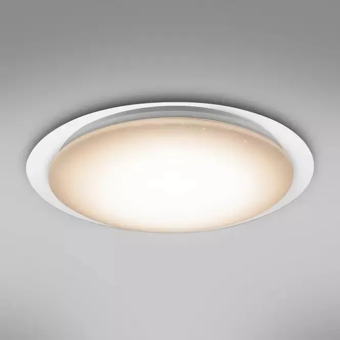 Stropní svítidlo 41310-60 LED 55 cm