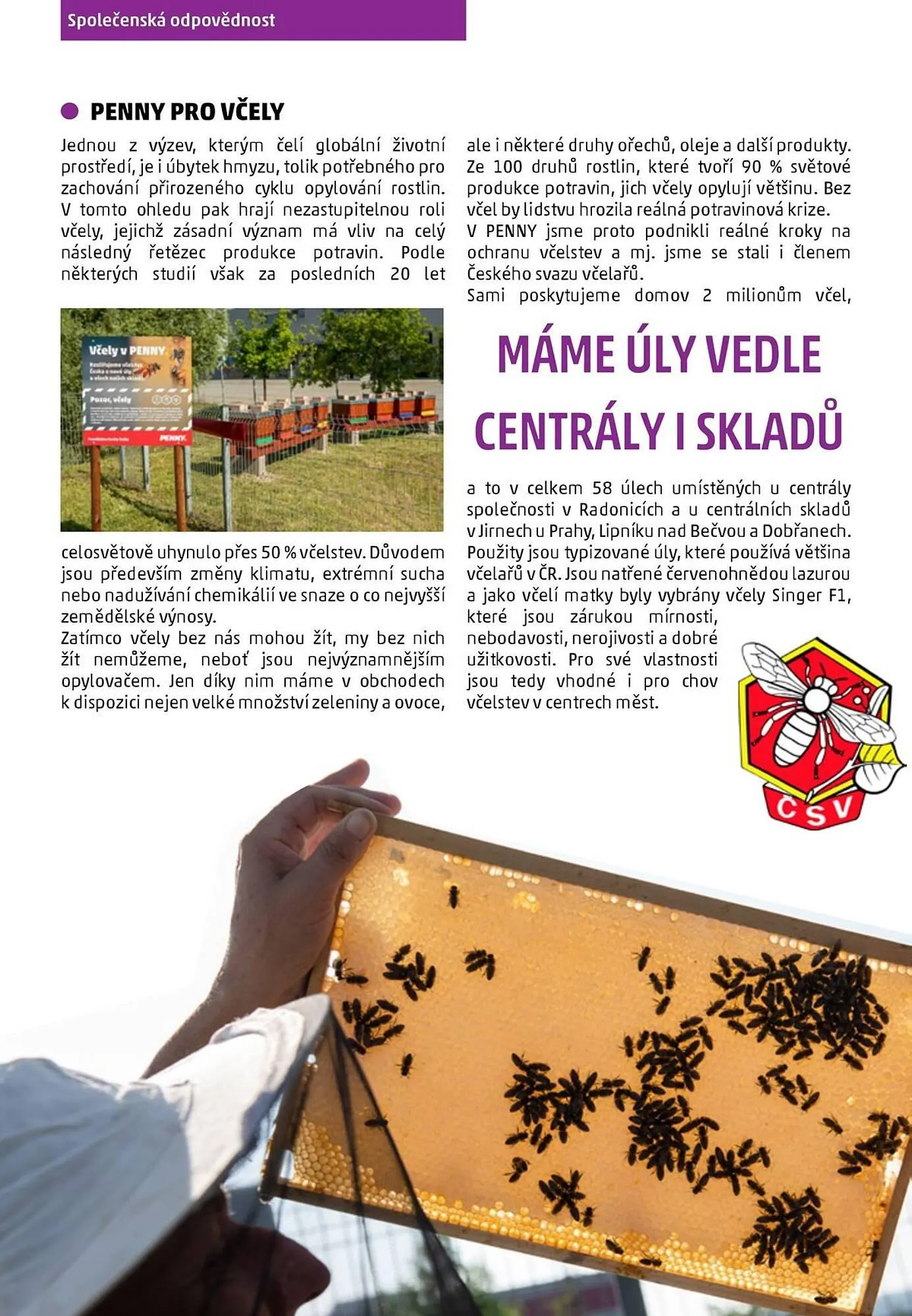 Penny Market leták - 22. listopadu 20. ledna 2026 - Page 52