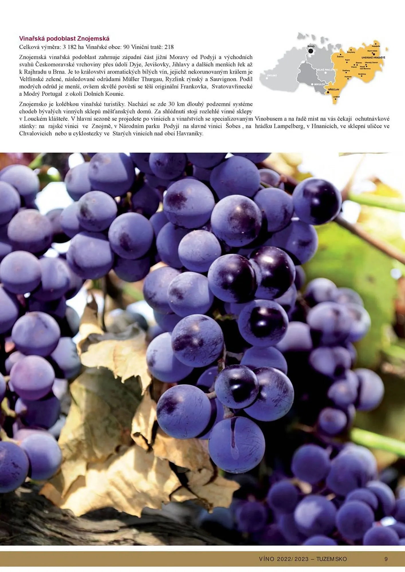 Jip leták - 21. září 31. prosince 2023 - Page 11