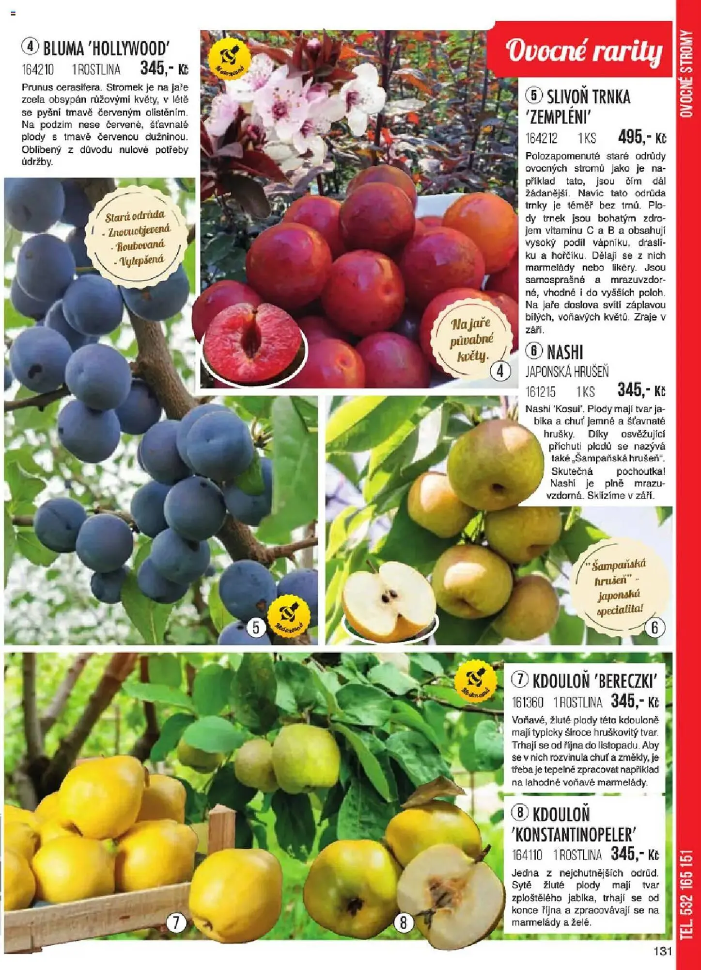 Starkl leták - 6. ledna 31. května 2025 - Page 131