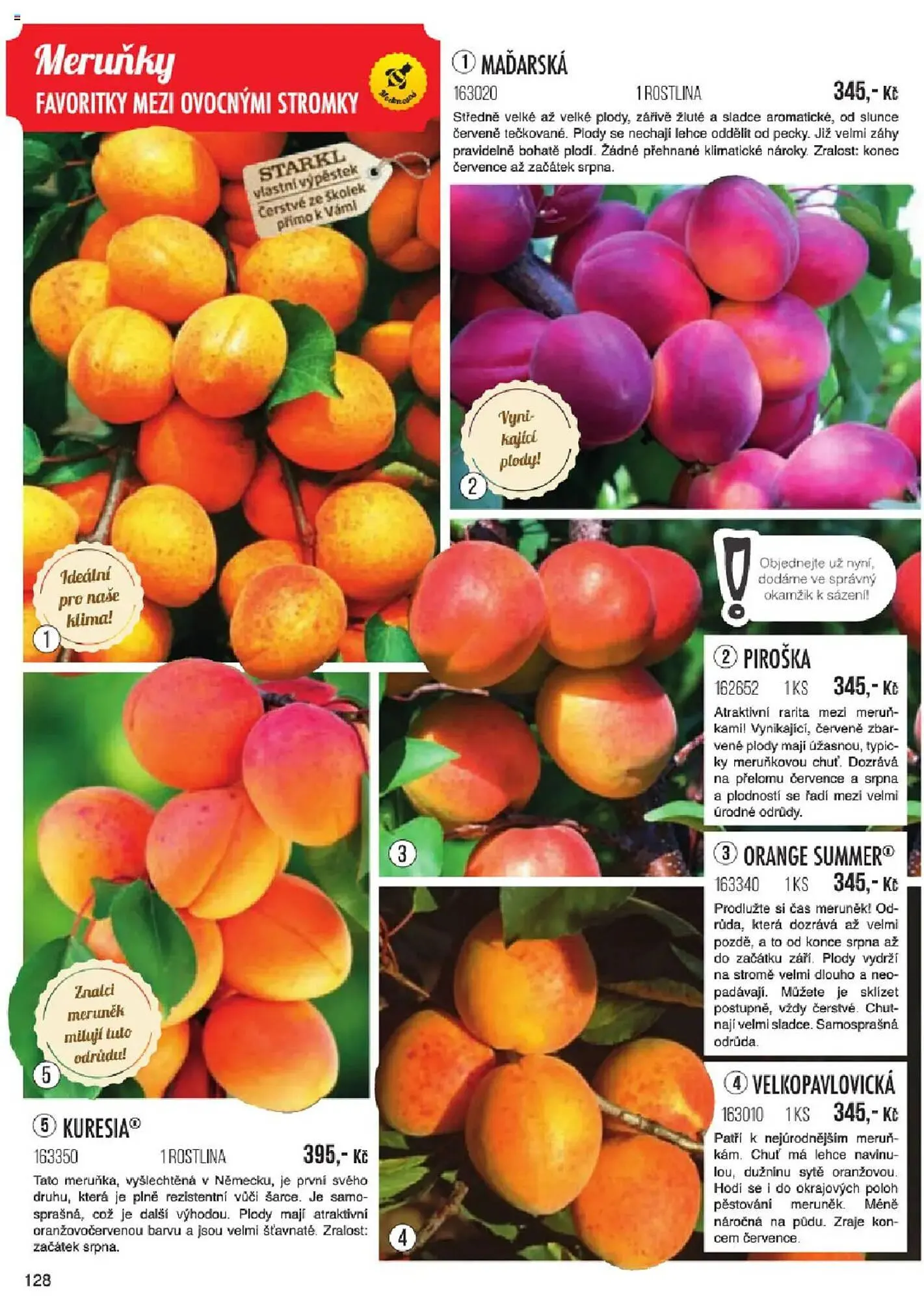Starkl leták - 6. ledna 31. května 2025 - Page 128