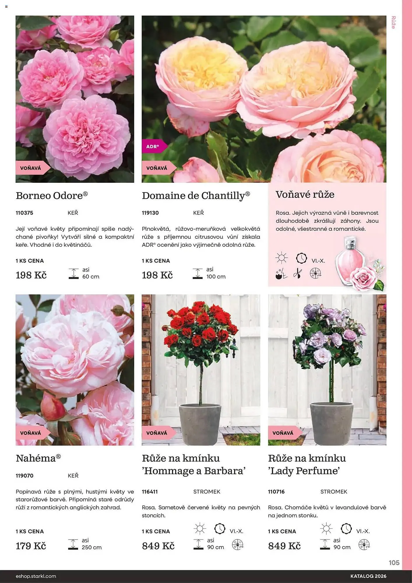 Starkl katalog - 25. února 31. prosince 2026 - Page 105